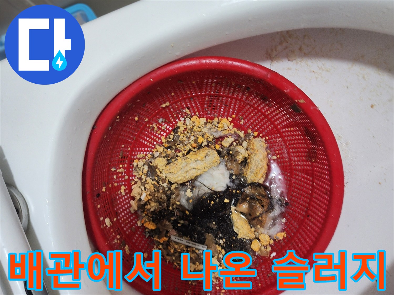 스케일링 작업 결과물-적체된 머리카락과 오염 물질