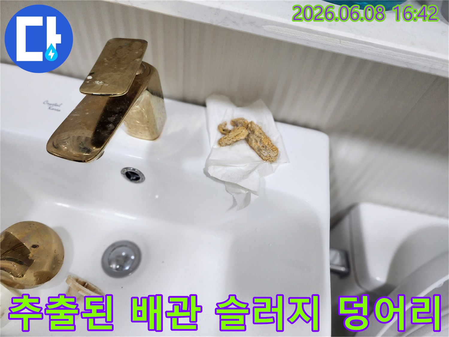 하수구 배관 내부에서 뽑아낸 오염 물질 덩어리