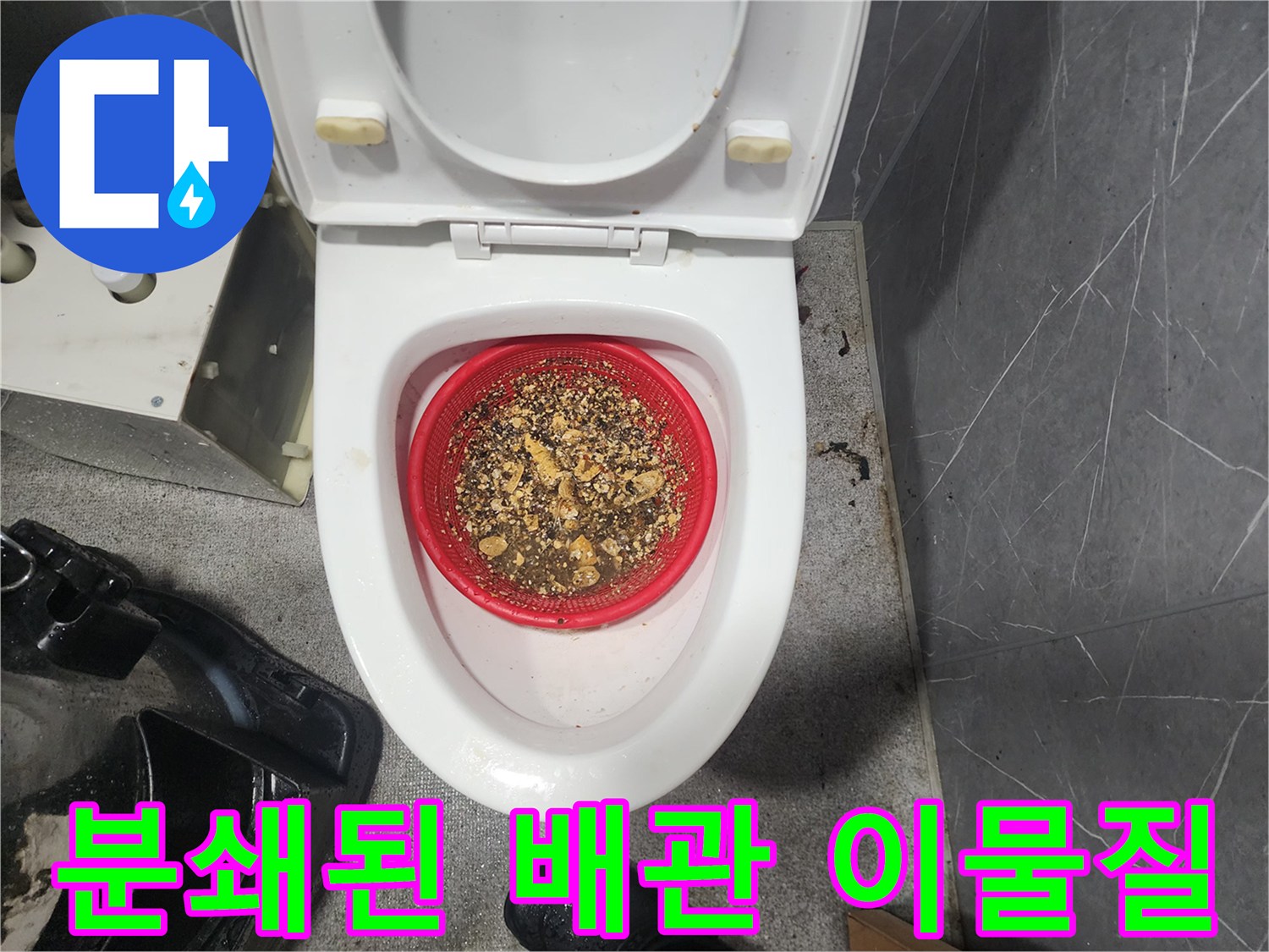 변기 안쪽 거름망에 걸러진 갈색 슬러지와 오물 찌꺼기