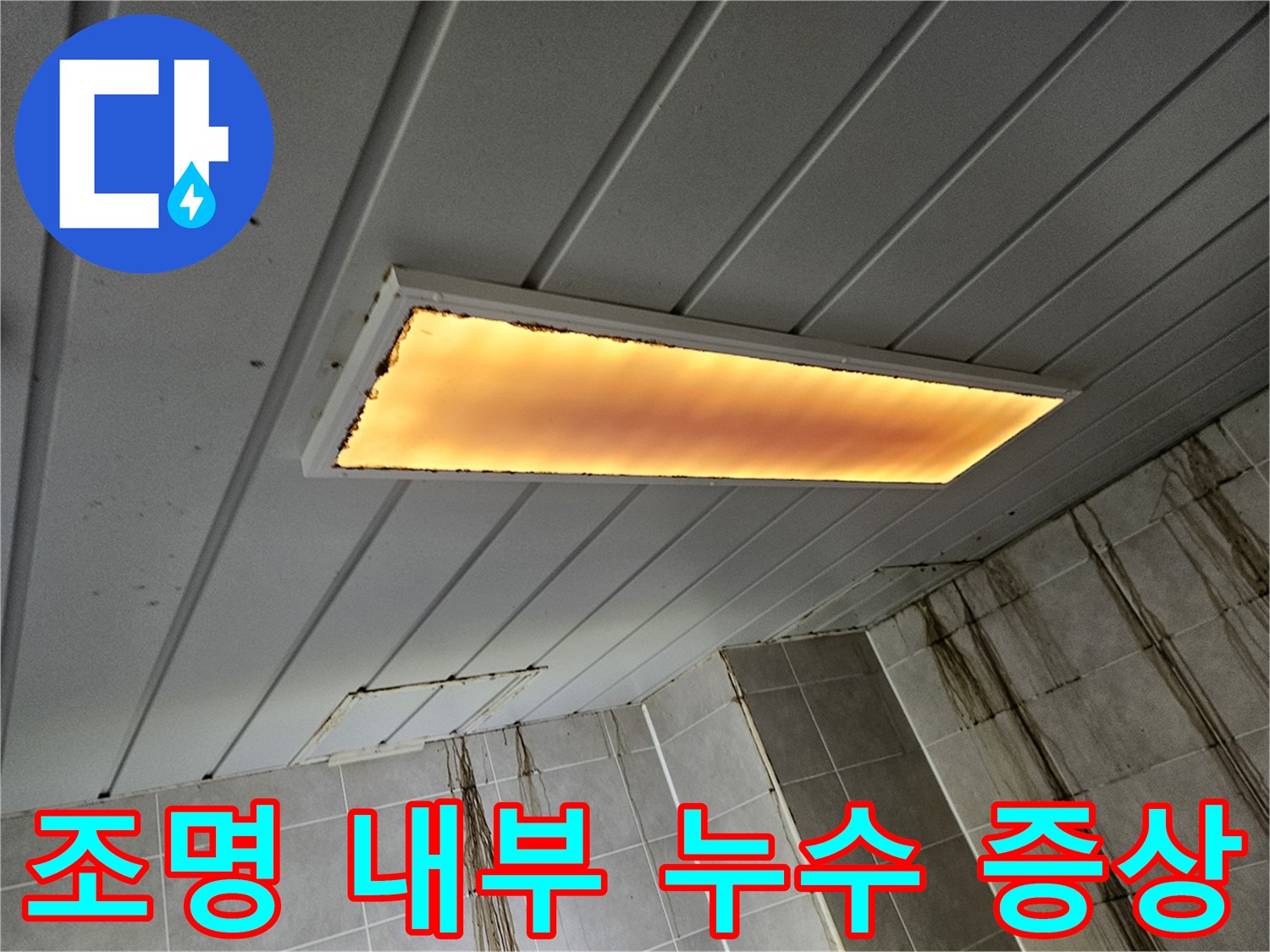 천장 조명기구-내부 침수-발견됨