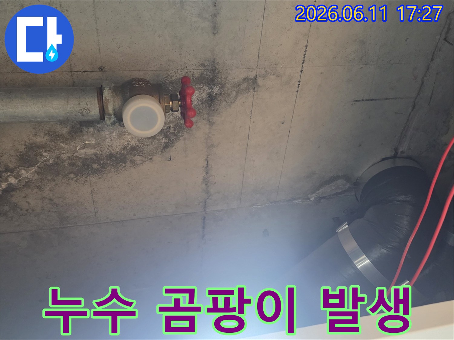누수 원인을 찾기 위해-천장 배관과-밸브 상태를-면밀히 확인하고 있습니다
