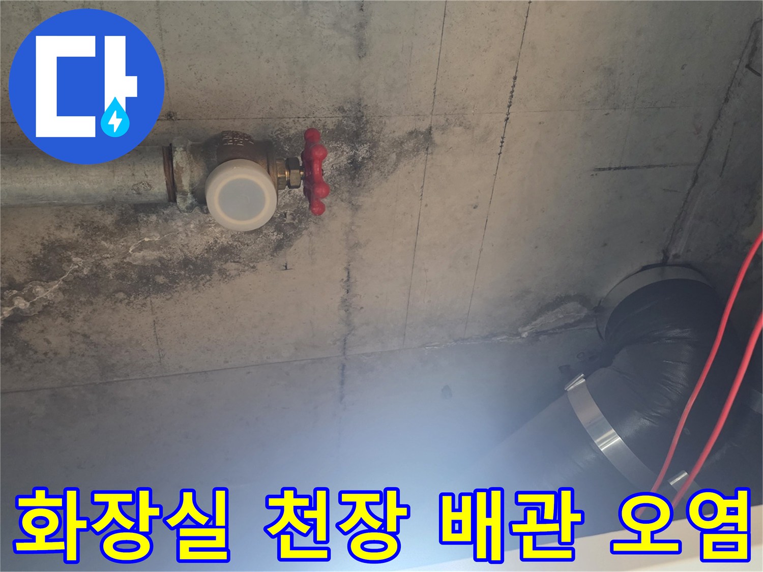 배관 밸브 부근의 콘크리트 슬래브가 젖어 있는 모습입니다.