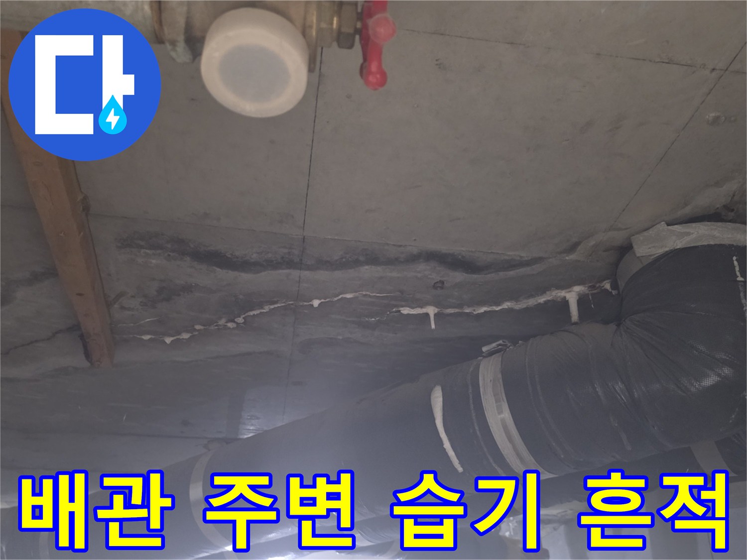 아파트-천장-배관-주변의-콘크리트-습기-상태