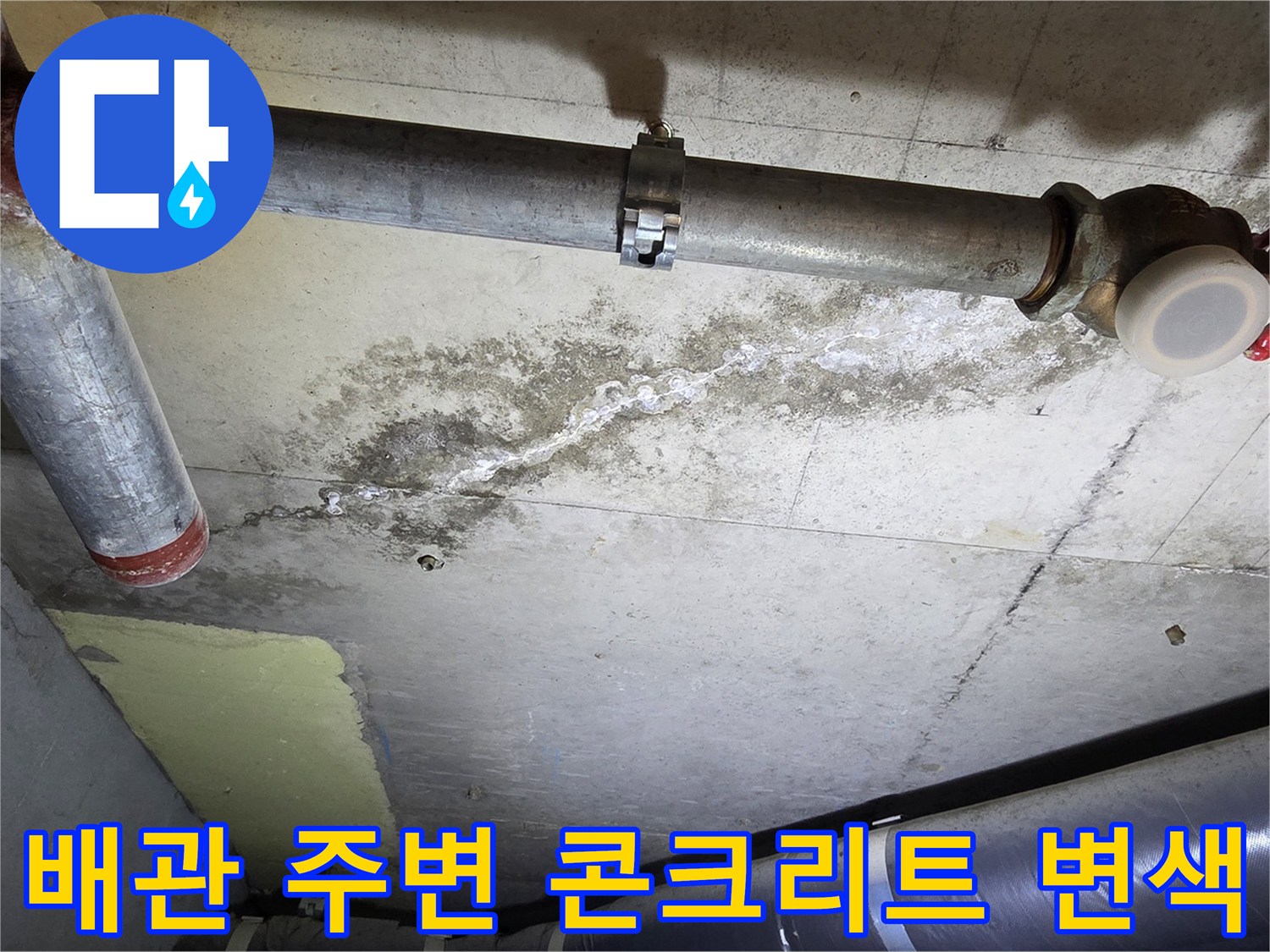 천장-배관-주변의-축축한-콘크리트-슬래브-상태