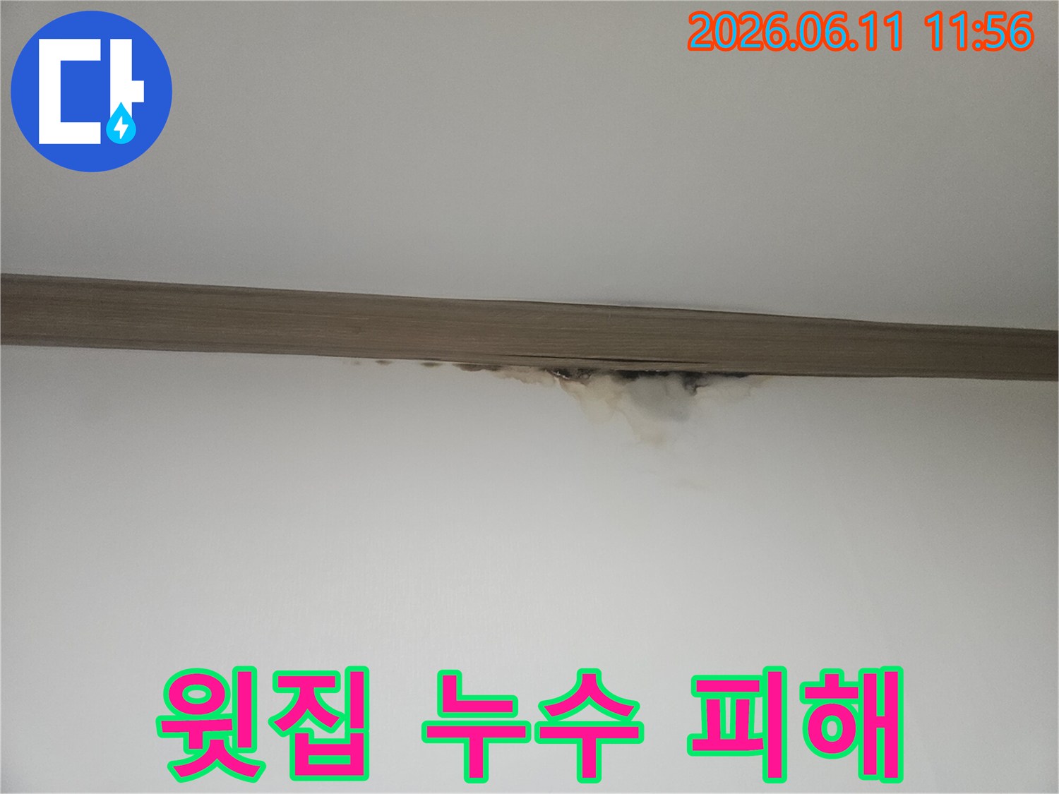 윗집 누수로 인해-아랫집 천장과 벽에-물자국과 곰팡이가 생긴 모습