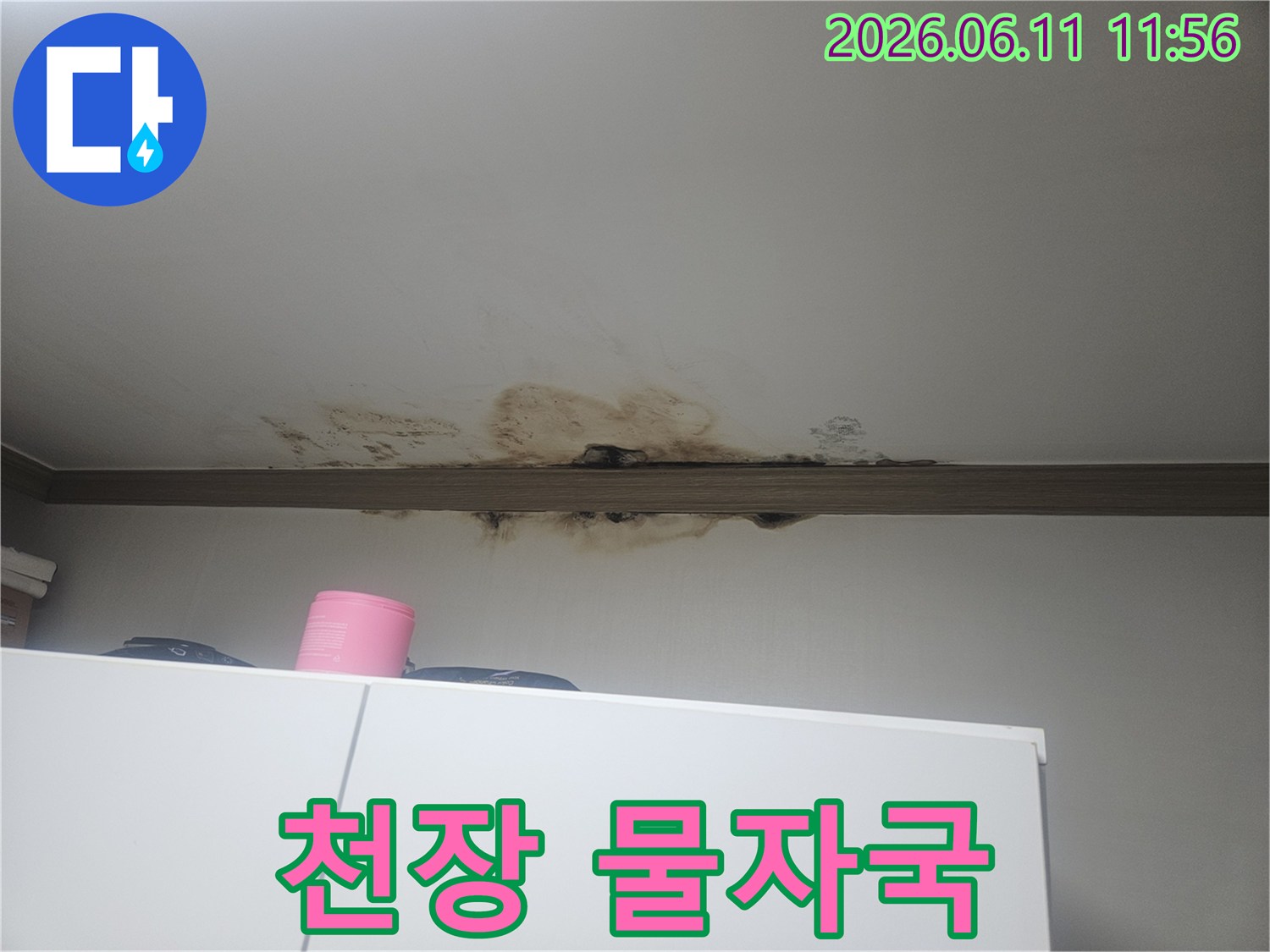 천장에서 물이 새어-마감재가 손상되고-검게 변색된-심각한 누수 현장