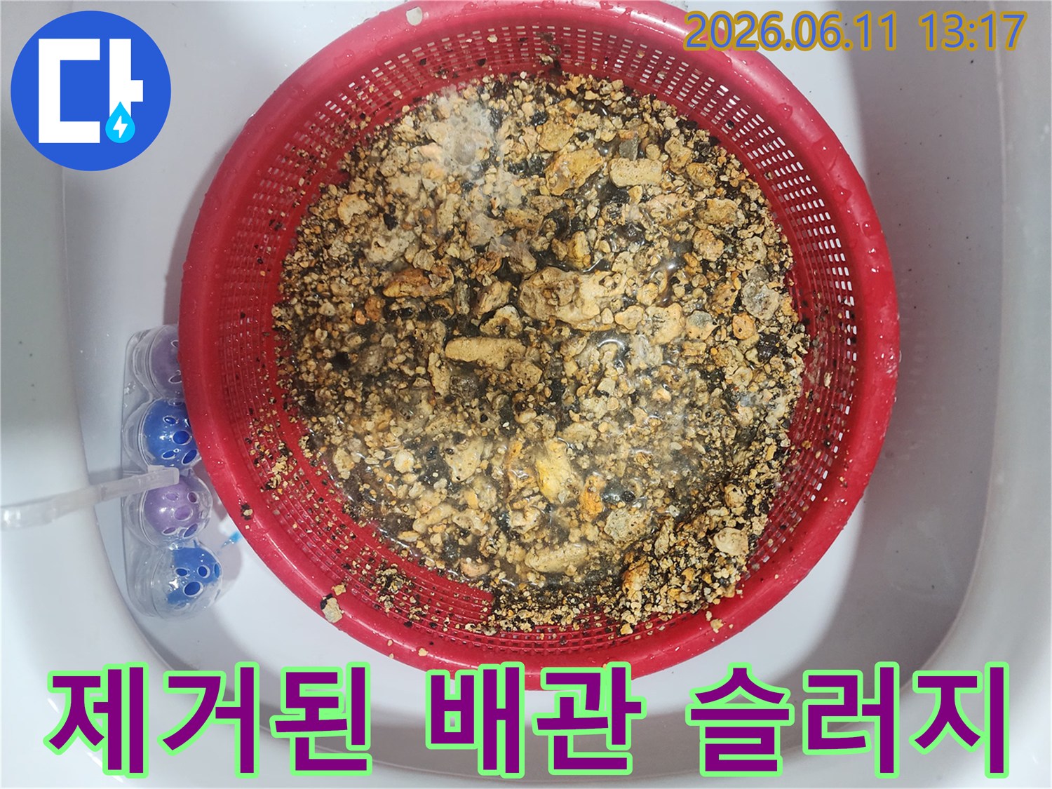 의정부 현장에서 수거한 싱크대 배관 기름 찌꺼기 더미