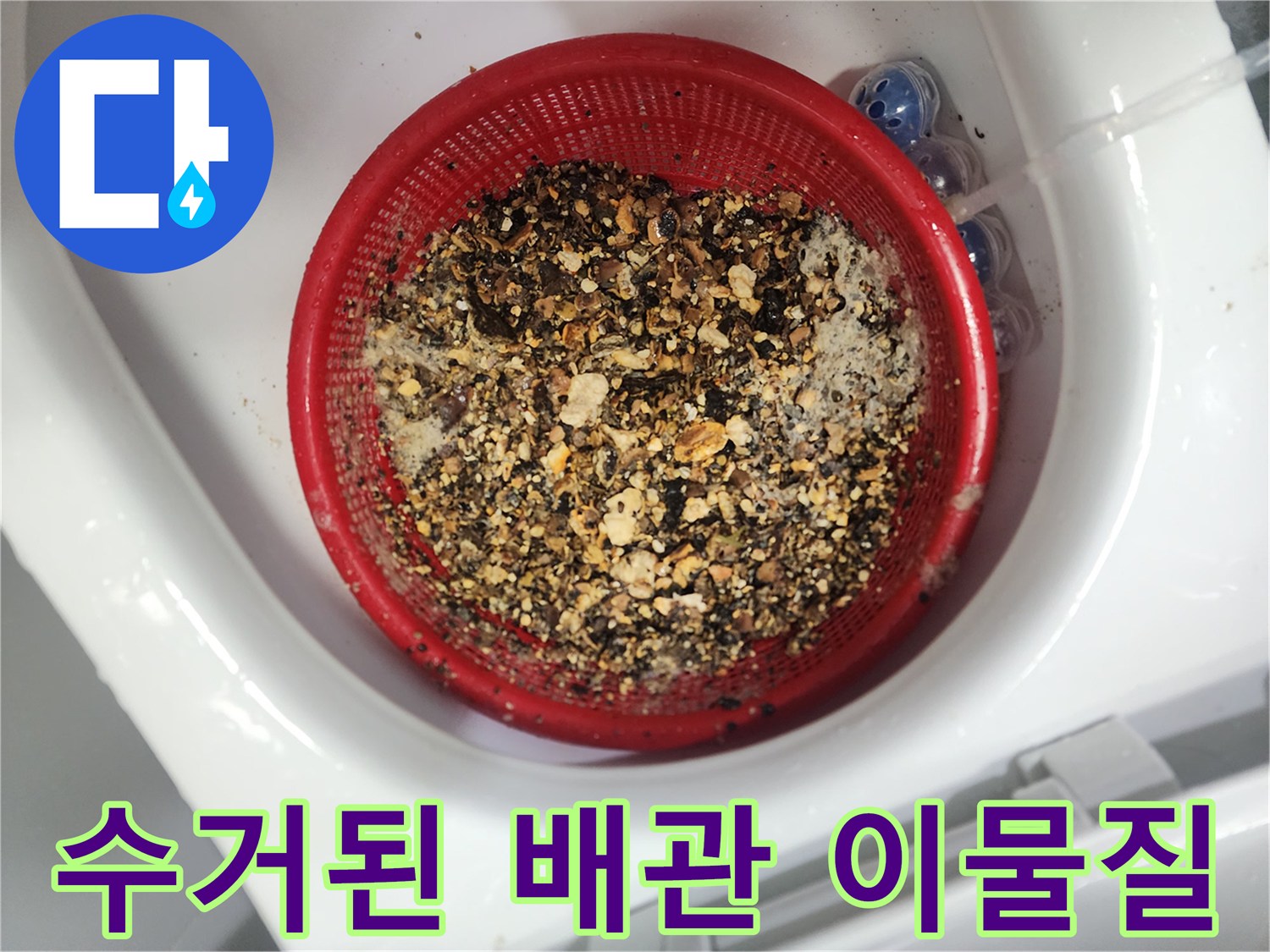 거름망에 쌓여있는 하수구 기름 찌꺼기 더미