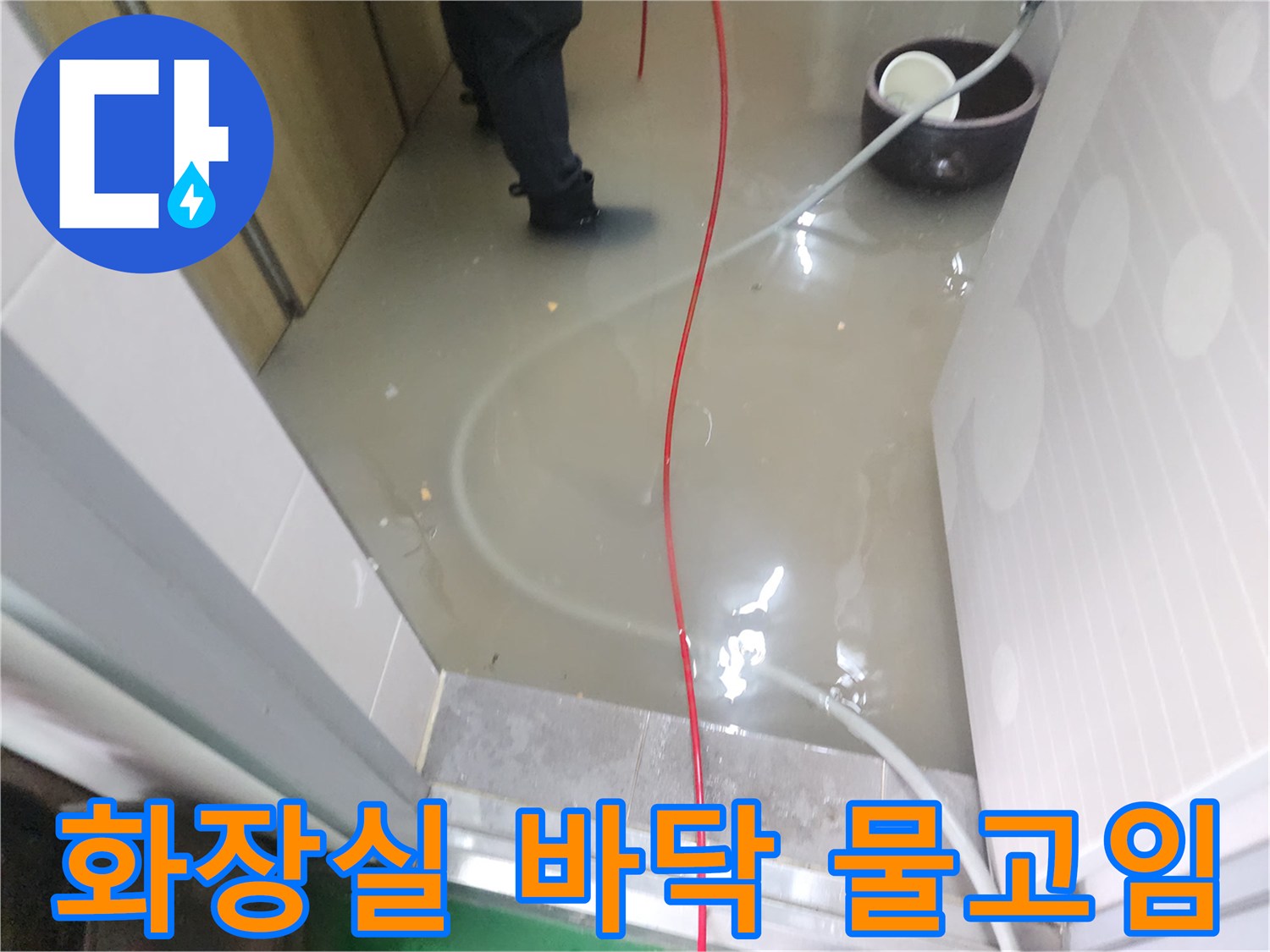 종로구 상가 화장실 바닥에 오수가 가득 차서 역류하고 있는 모습