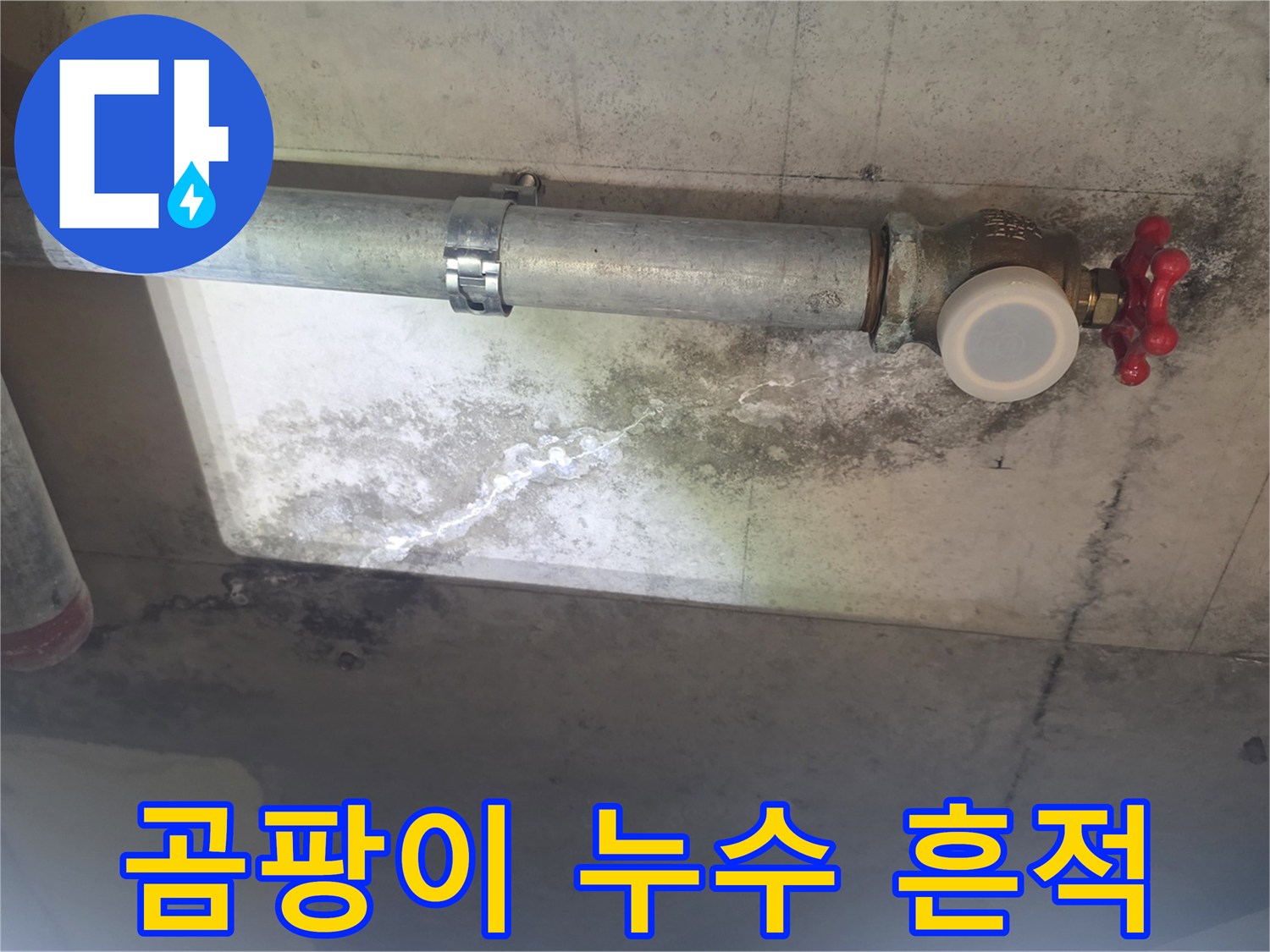 이 이미지는 천장 배관 주변에서 발생한 누수로-인해 콘크리트에 생긴 하얀 물 자국과-검은 곰팡이 얼룩을 자세히 보여줍니다
