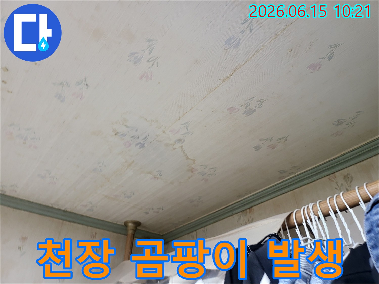 누수로 인해 천장에-발생한 곰팡이와-벽지 변색의 심각한 모습