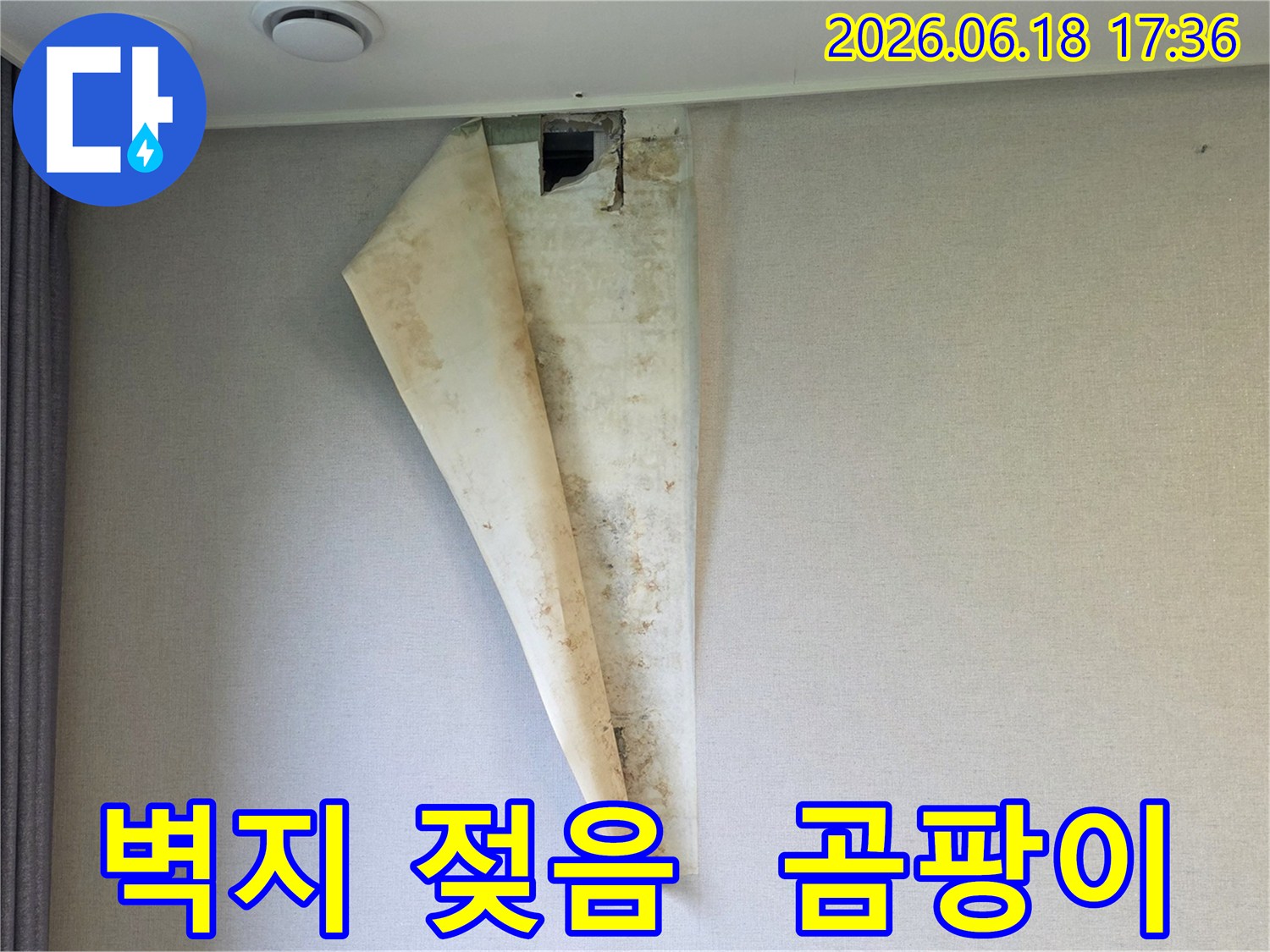 누수로 인해 벽지가 심하게 젖고-들뜨며-검은 곰팡이가 번식한 벽면