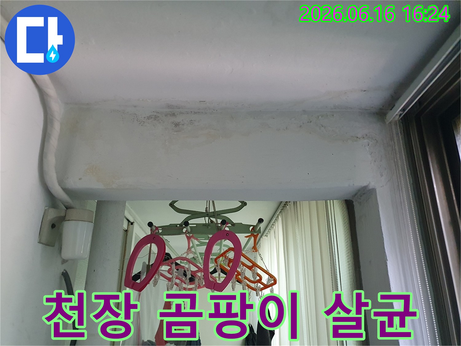 수택동-아파트-천장에서-발견된-누수로-인한-곰팡이-제거-및-살균-소독-현장