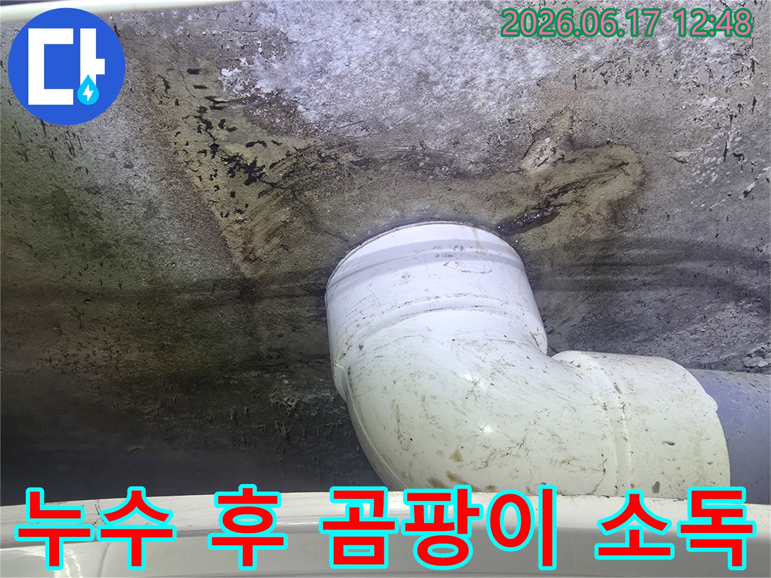 천장-배관-누수로-인한-곰팡이-발생-현장과-전문적인-곰팡이-제거-및-소독-작업