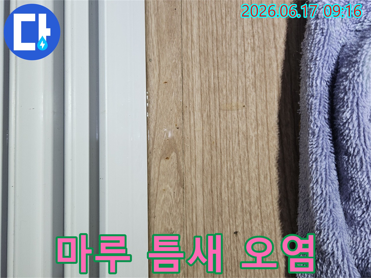 마루 틈새에 나타난 오염과 습기 흔적으로 누수 징후를 보여주는 현장 사진