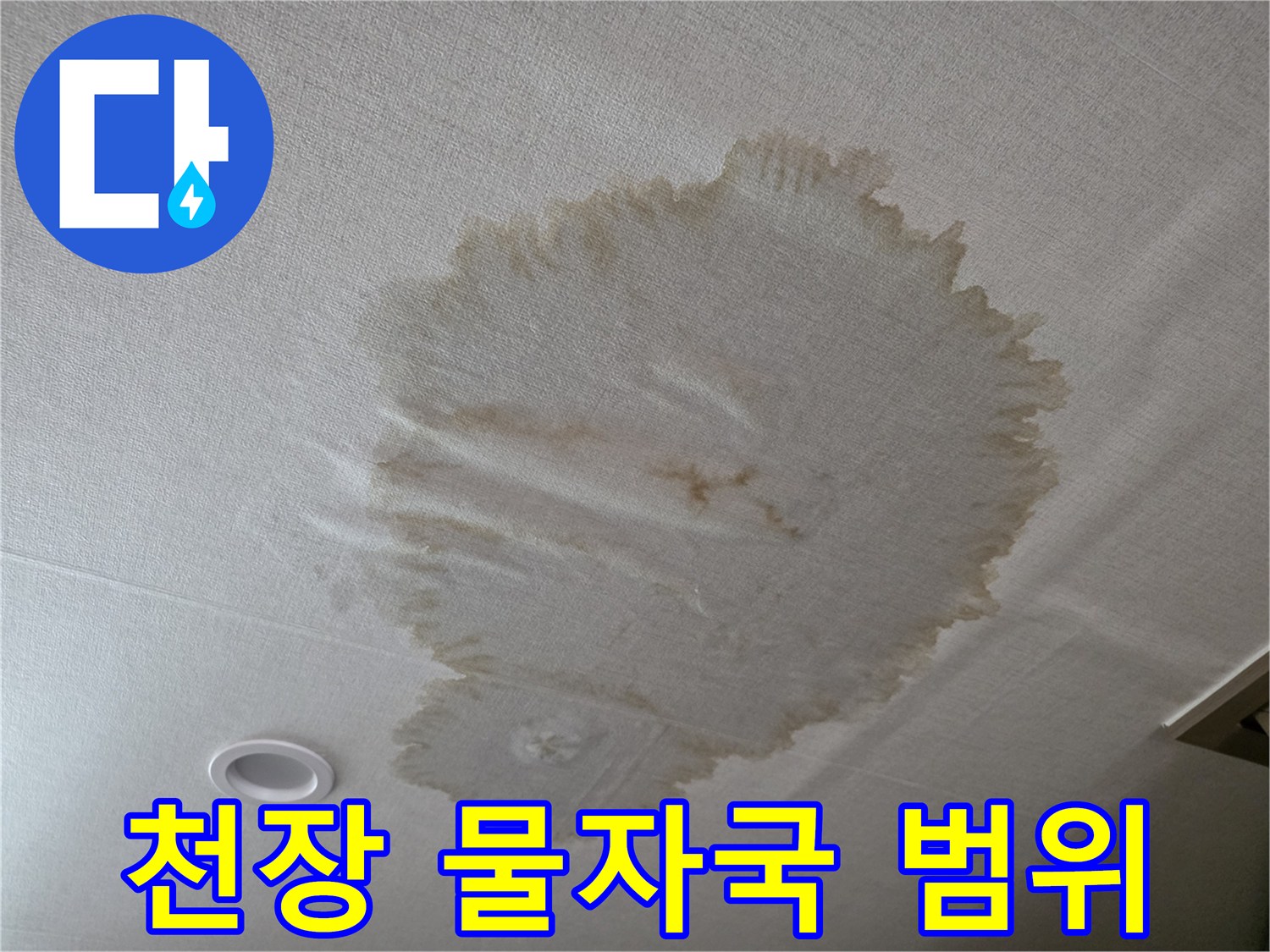 천장-벽지-전체에-퍼진-누수-얼룩-현황