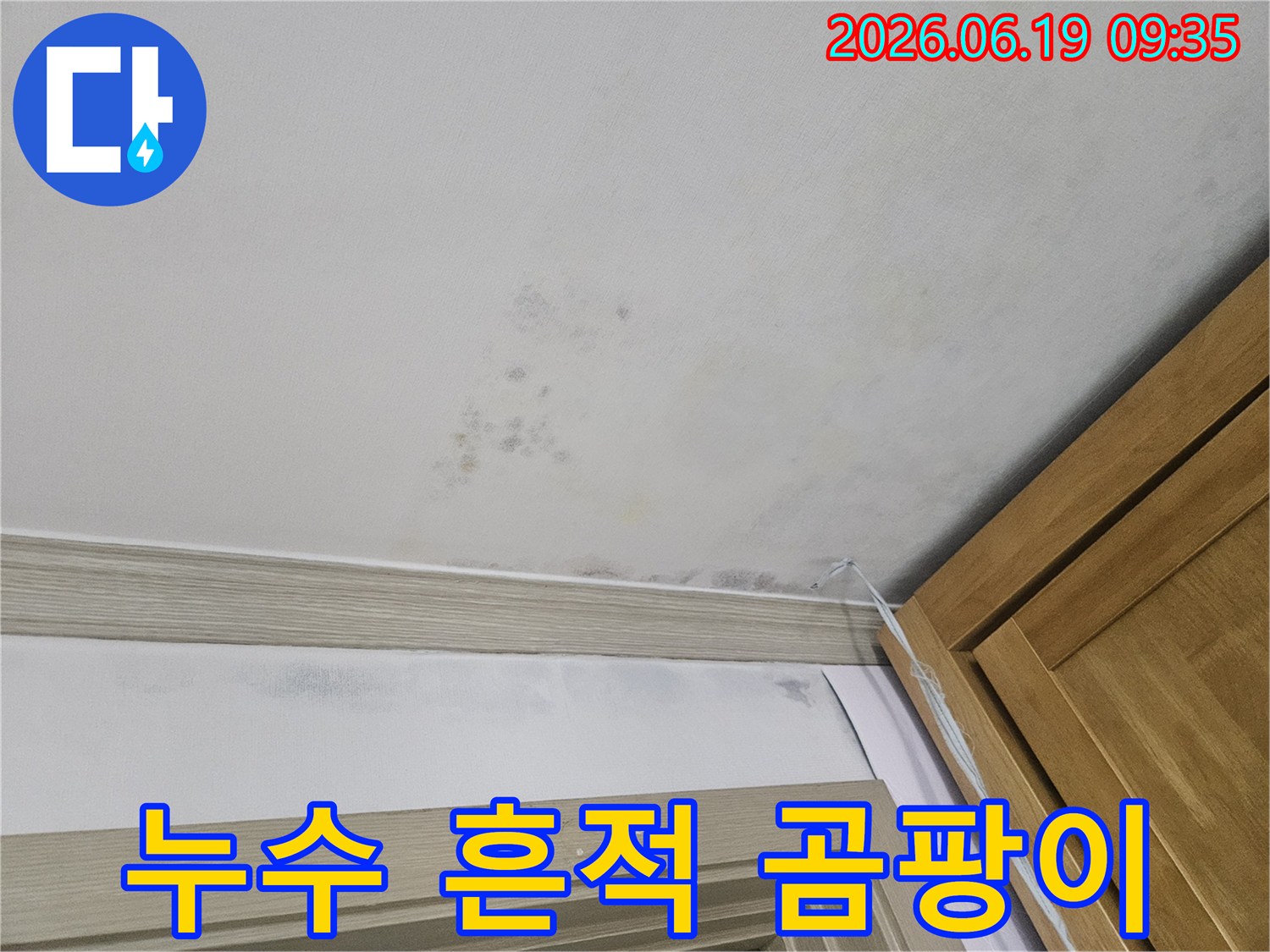 윗집-누수로-인해-벽지와-천장에-번진-심각한-곰팡이-현상