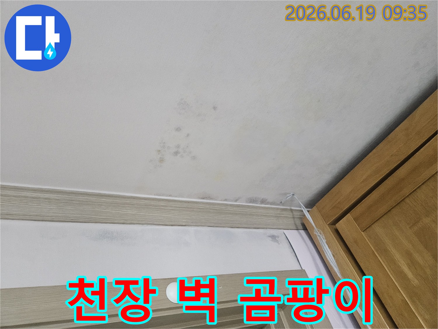 천장-도배지-손상과-함께-벽면으로-이어지는-누수-로-인한-곰팡이-패턴