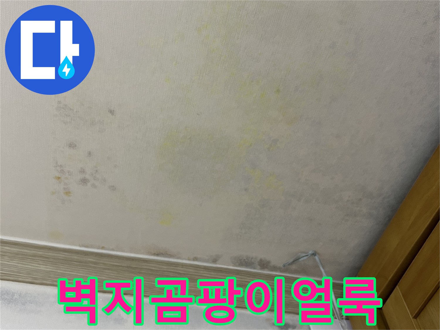천장 벽면의-습기 침투로 인한 곰팡이 및 얼룩