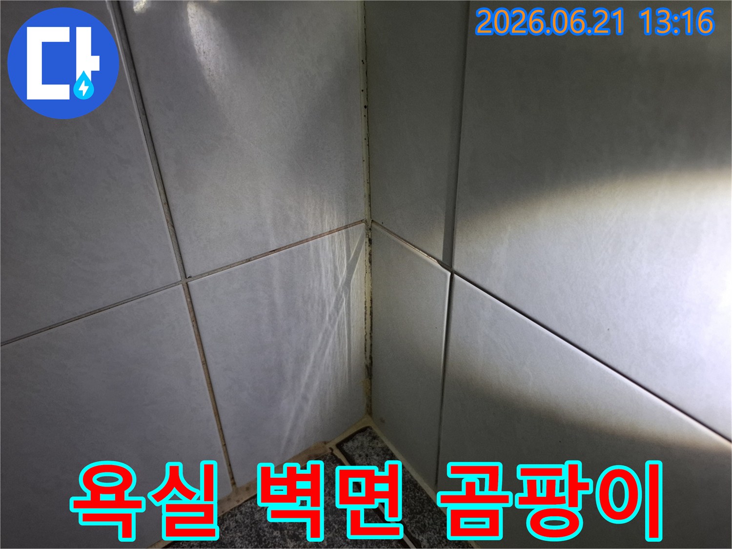 욕실-벽면-타일-모서리에-발생한-검은-곰팡이와-오염을-보여주는-이미지
