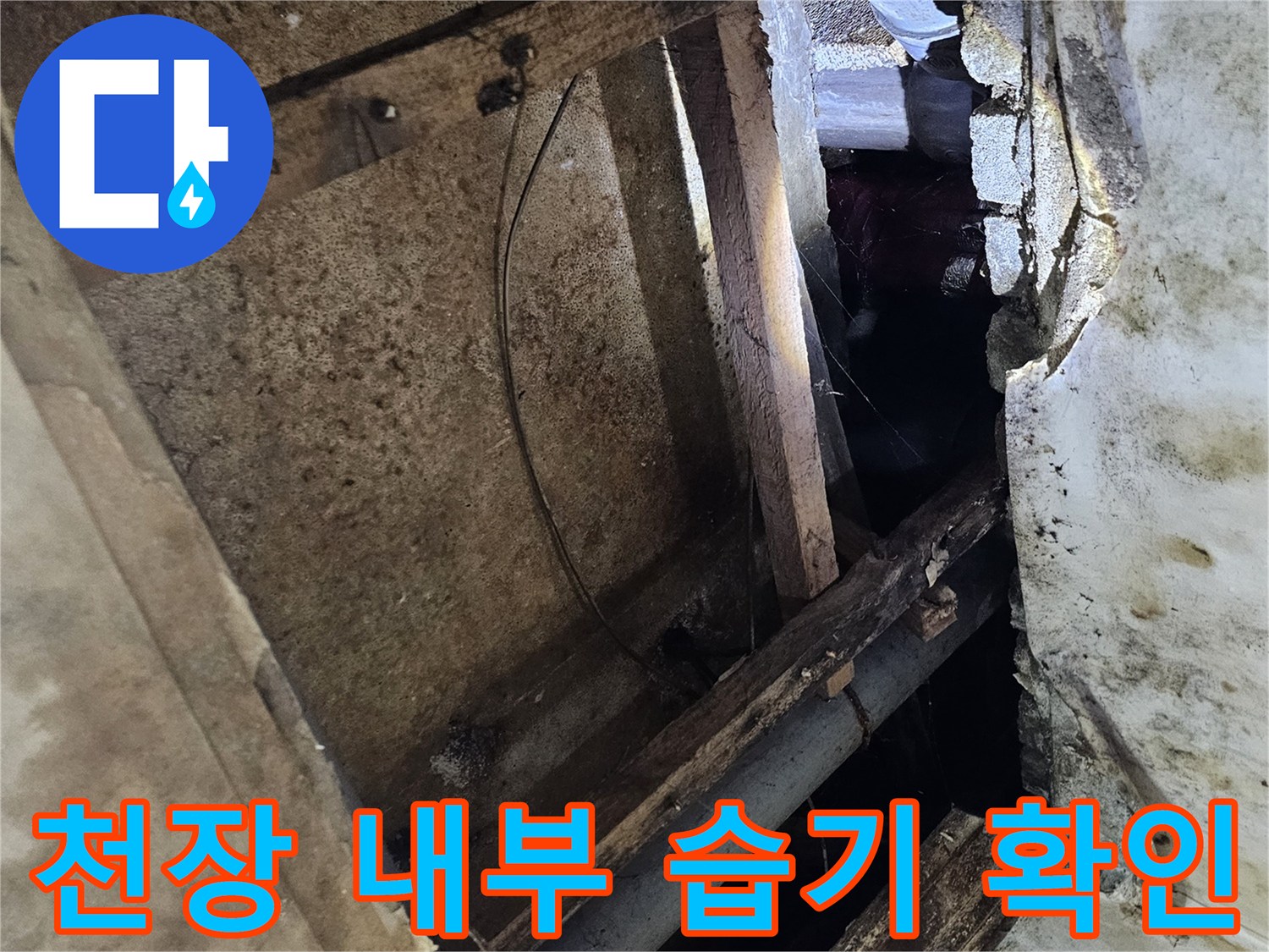 지하층 천장-습기에 노출된 배관과 목재 프레임