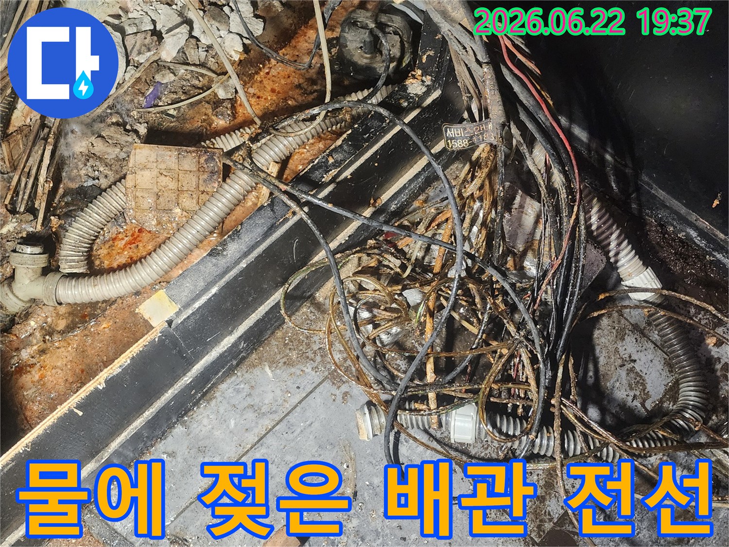 누수-엔지니어가-물에-젖어-부식된-배관과-전선이-복잡하게-얽혀있는-현장을-꼼꼼히-점검하고-있습니다