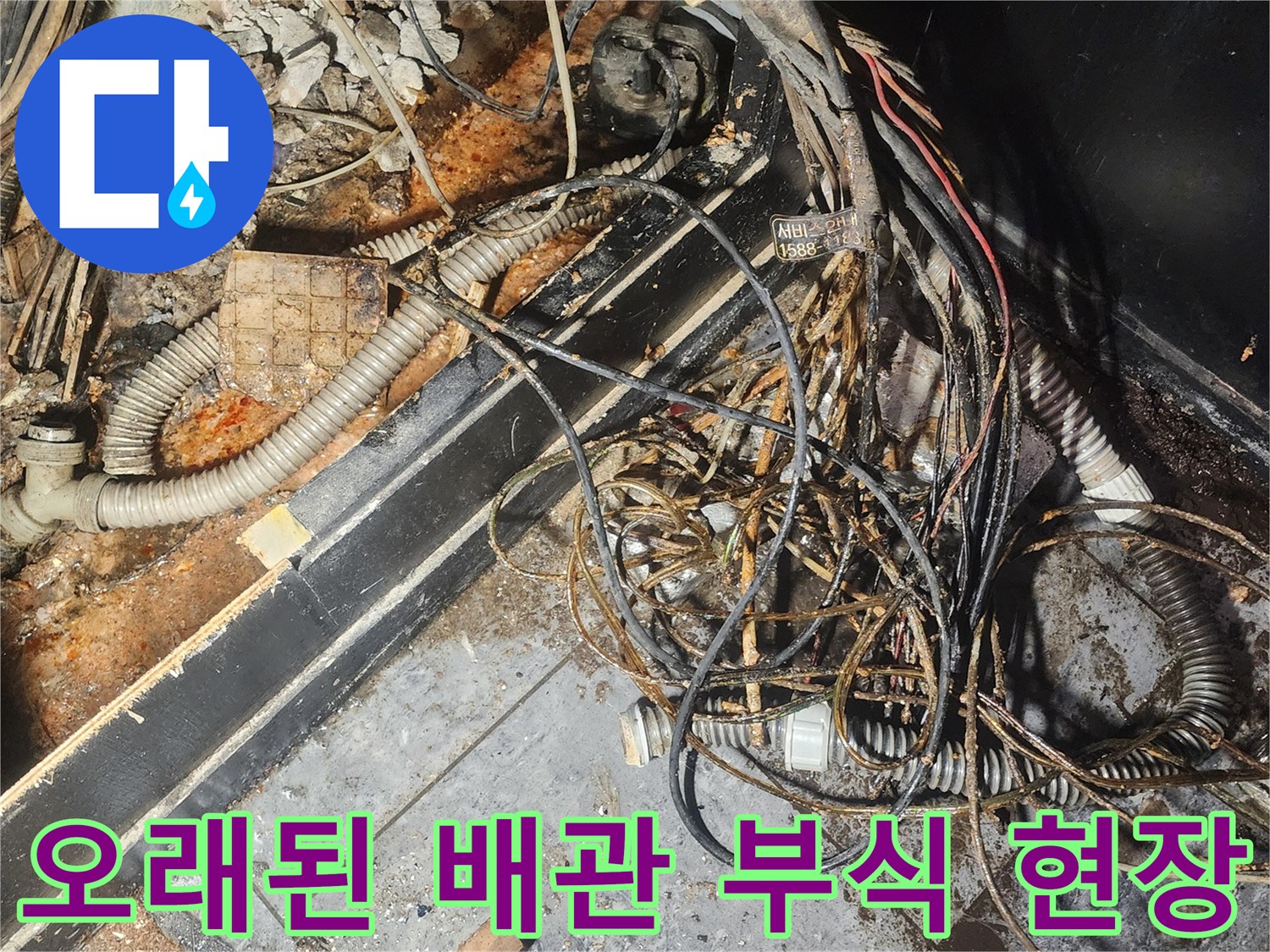 누수-엔지니어가-오래된-배관과-전선이-뒤섞인-현장에서-부식-상태를-면밀히-살펴보고-있습니다