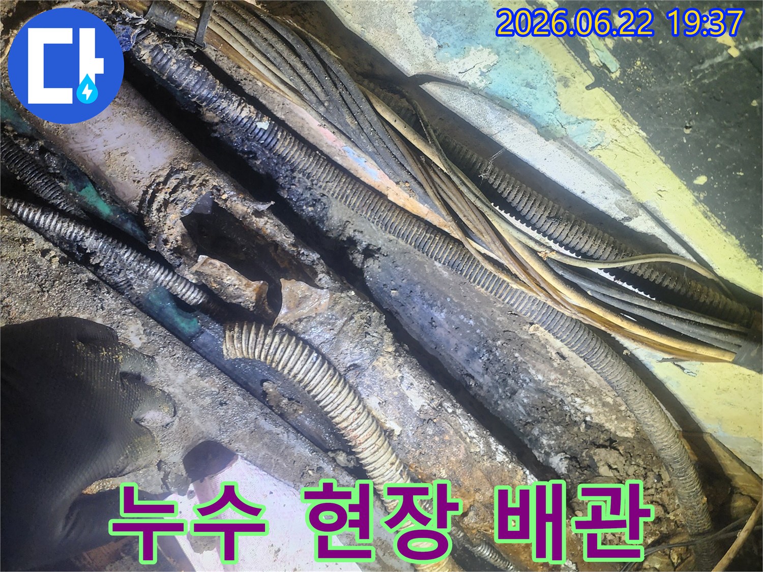 누수-현장에서-발견된-심각하게-손상되고-부식된-지하-배관과-전선들