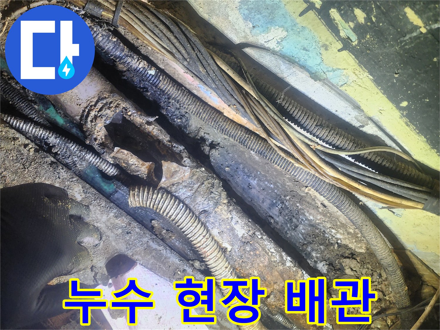누수-현장에서-발견된-심각하게-손상되고-부식된-지하-배관과-전선들