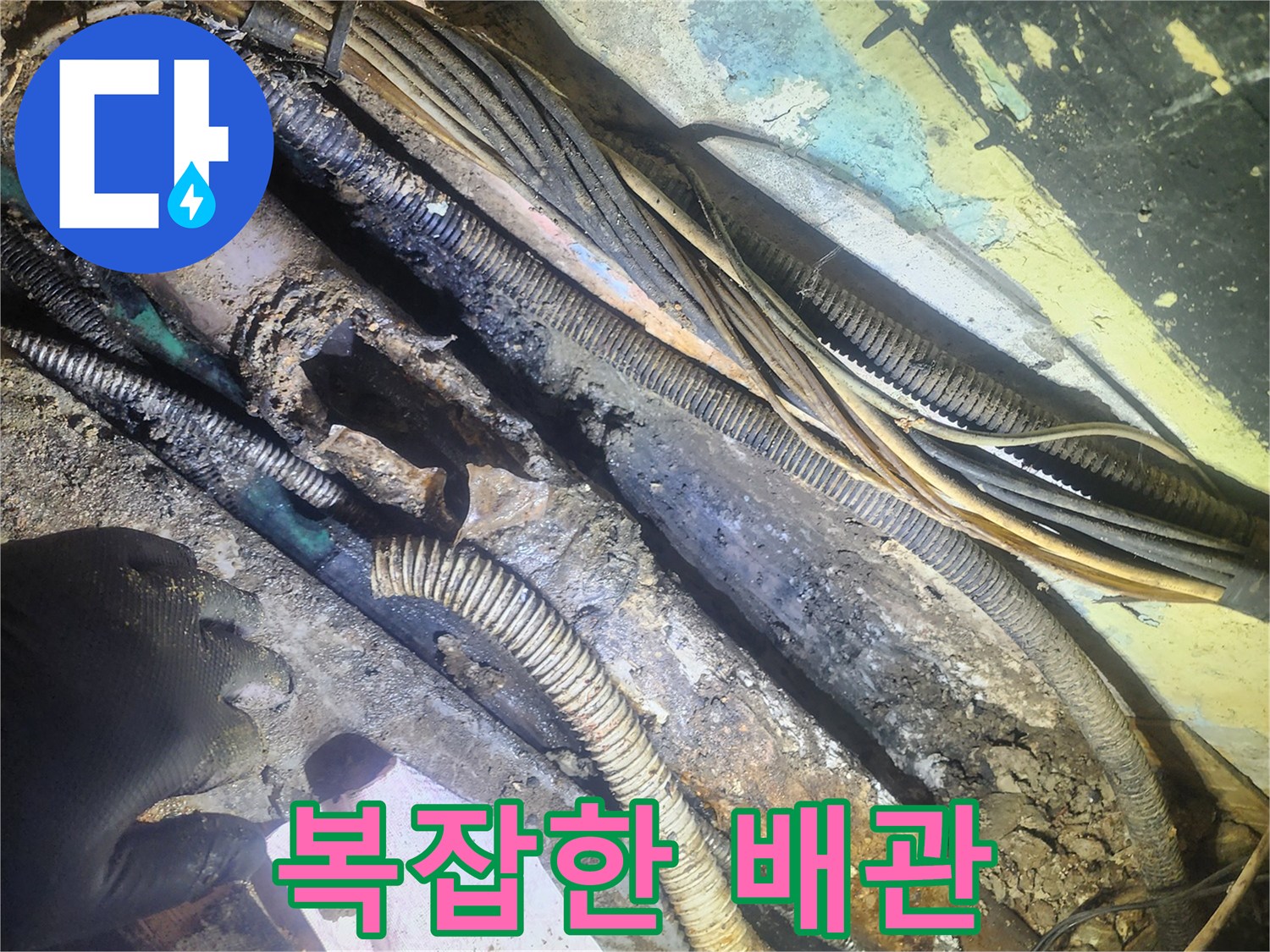 복잡하게-얽힌-지하-배관과-전선들-사이에서-발견된-누수-원인