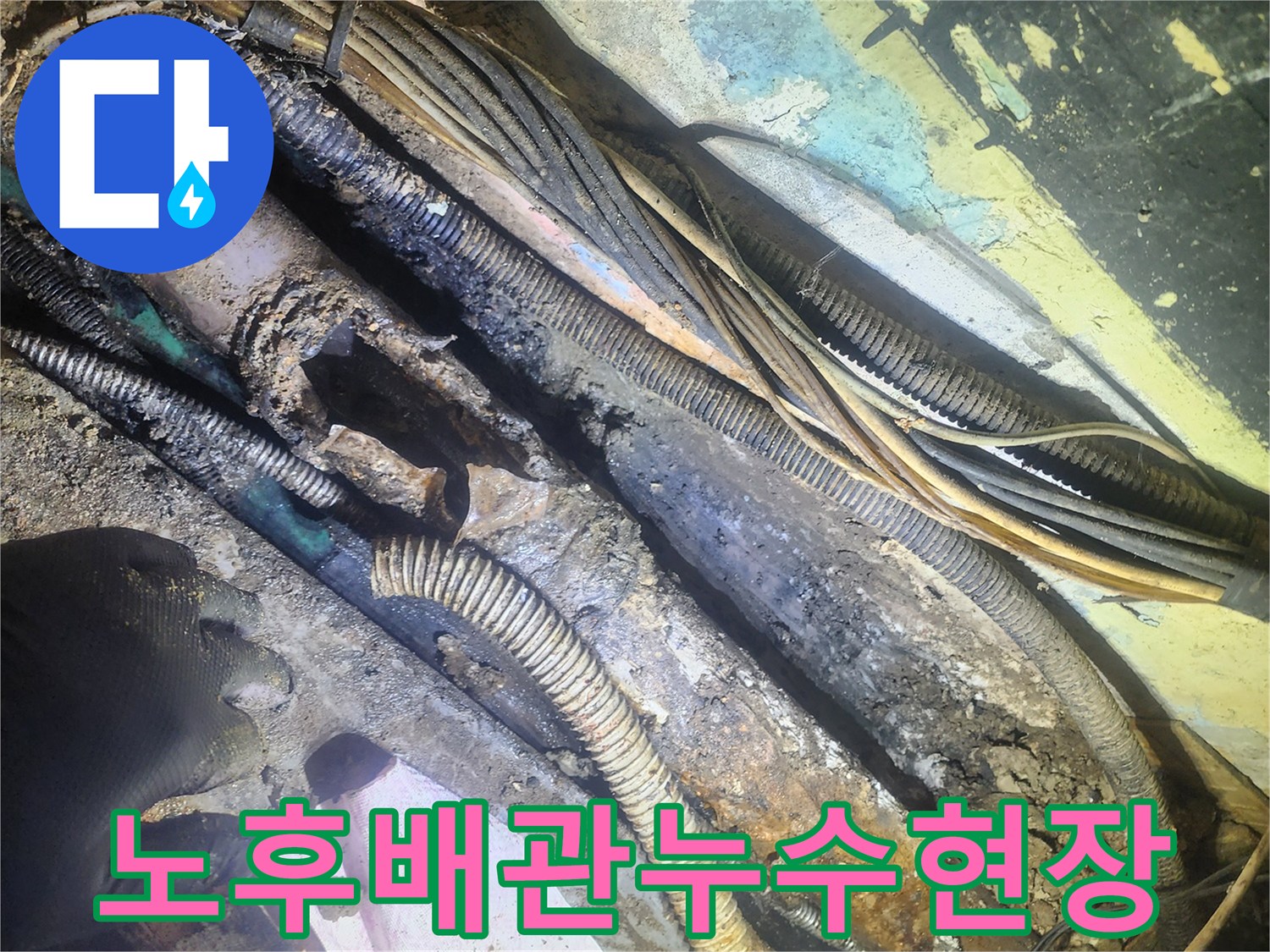 오래된-건물-지하에서-발견된-배관-파열-현장과-탐지-작업