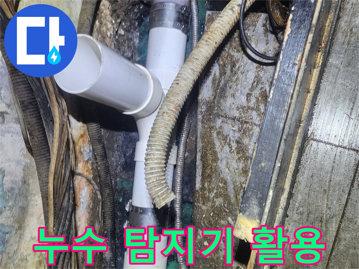 최첨단-누수-탐지기를-활용하여-오래된-배관의-누수-지점을-정확히-찾아내고-새로운-PVC-배관으로-교체하는-현장-사진