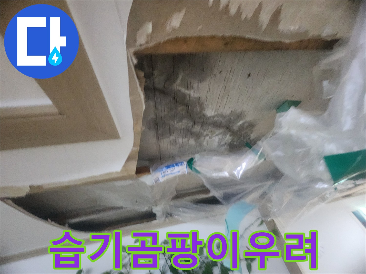 천장 내부의 습기와-물 자국으로 인한-곰팡이 발생 우려를 보여주는-누수 현장입니다