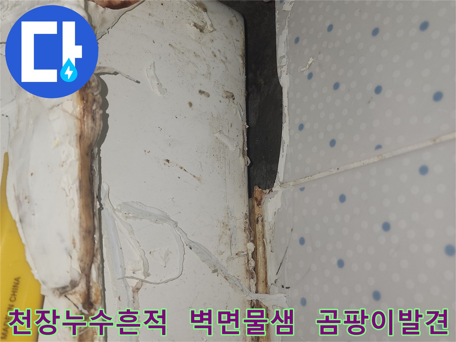 천장과-벽면-경계에서-발견된-오래된-누수-흔적과-곰팡이-오염-현상