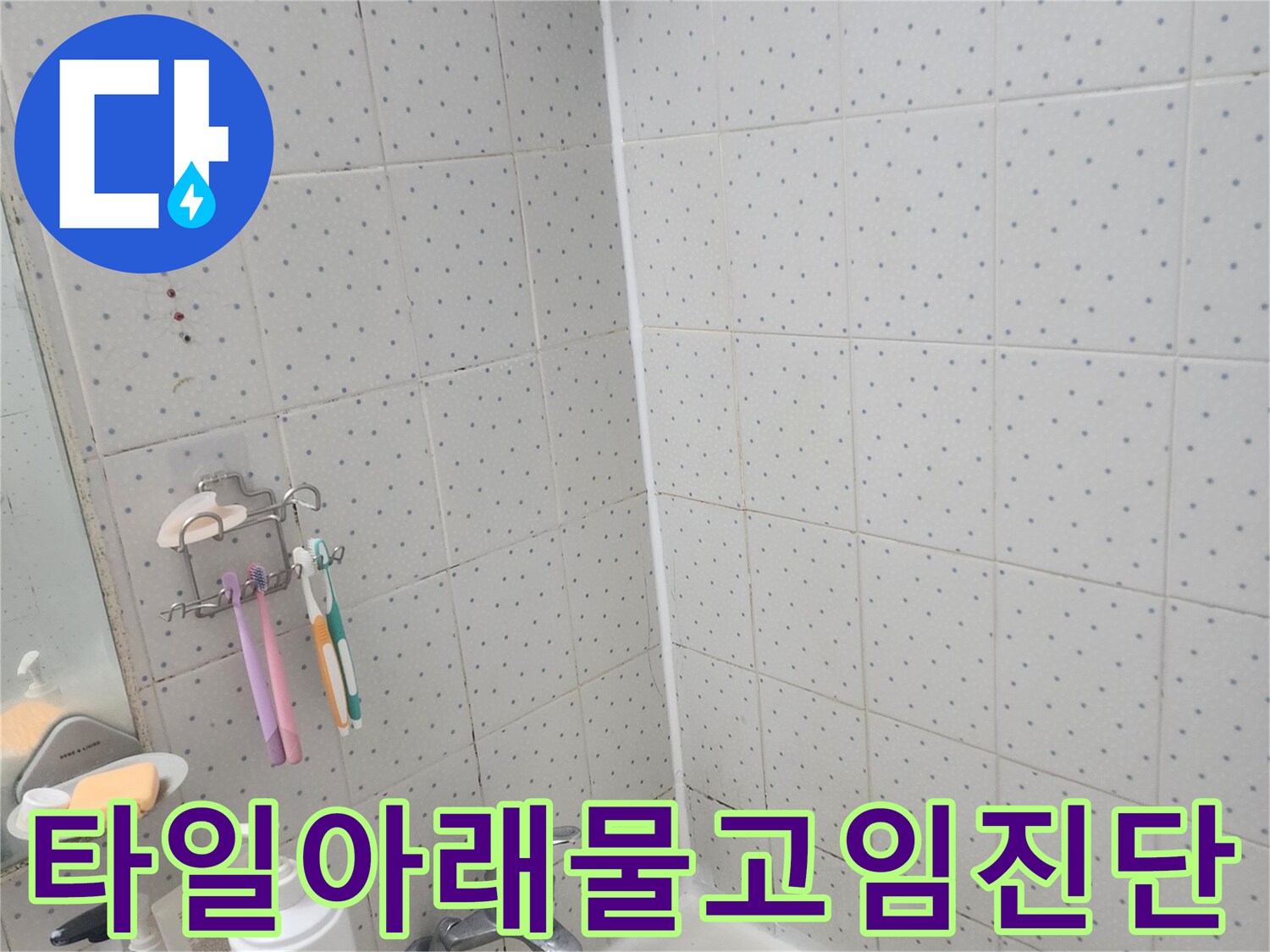 한신아파트-아랫집-누수-욕실-타일-아래-물-고임-현상-진단-모습