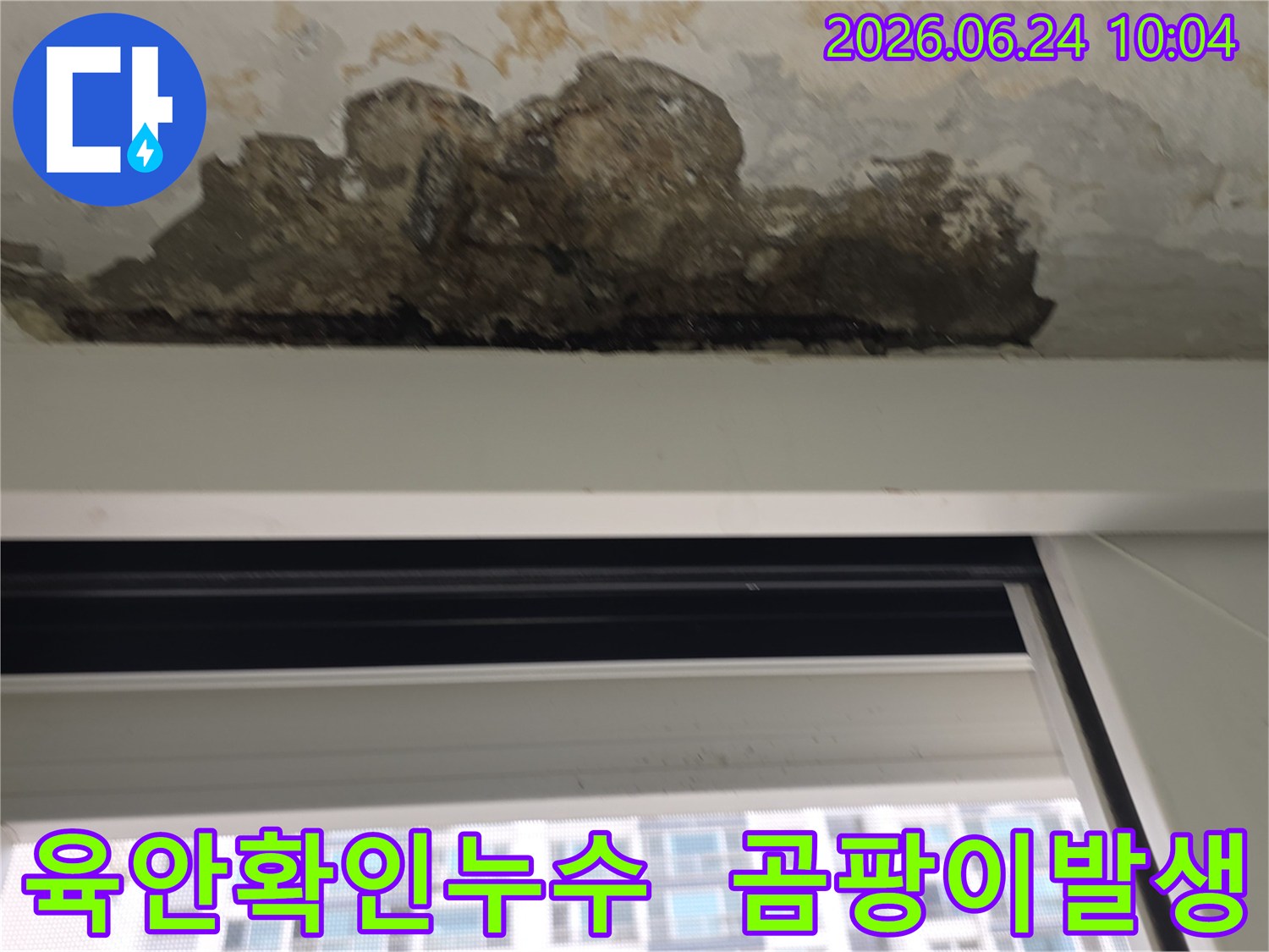 누수-탐지-전-육안으로-확인된-천장-손상-부위와-곰팡이