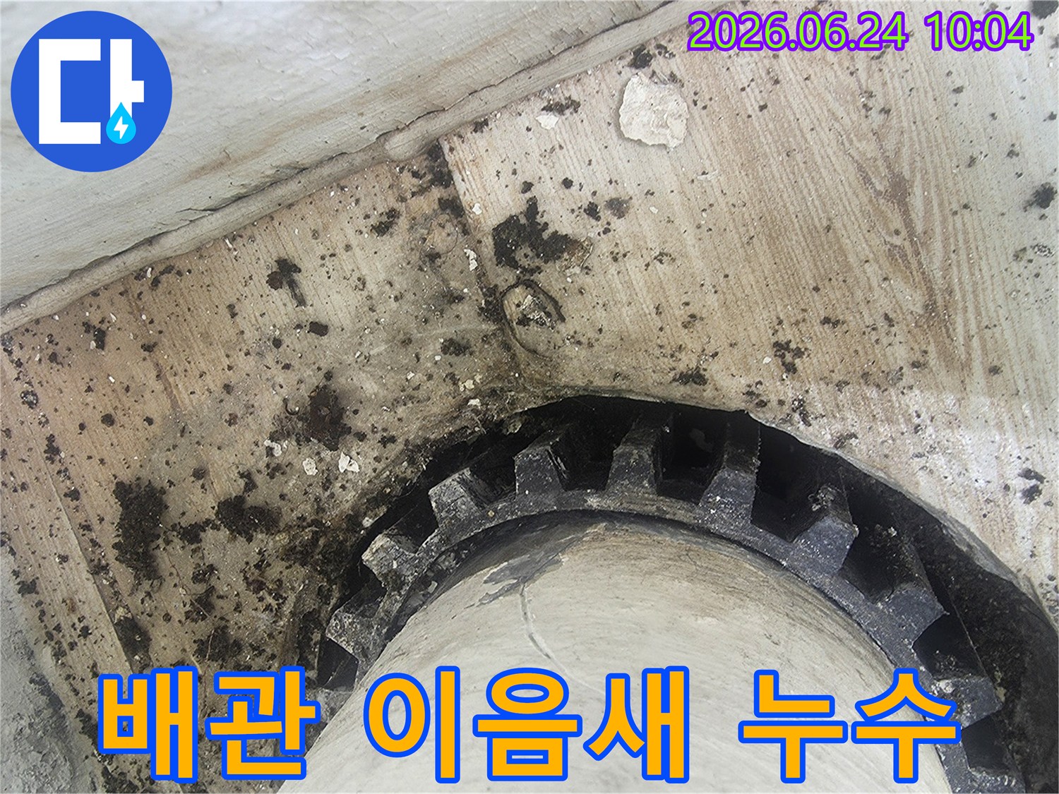 오래된 배관의 이음새 부분에서-물이 새어-주변에 검은 물때와-곰팡이가 생긴-누수 현장 모습