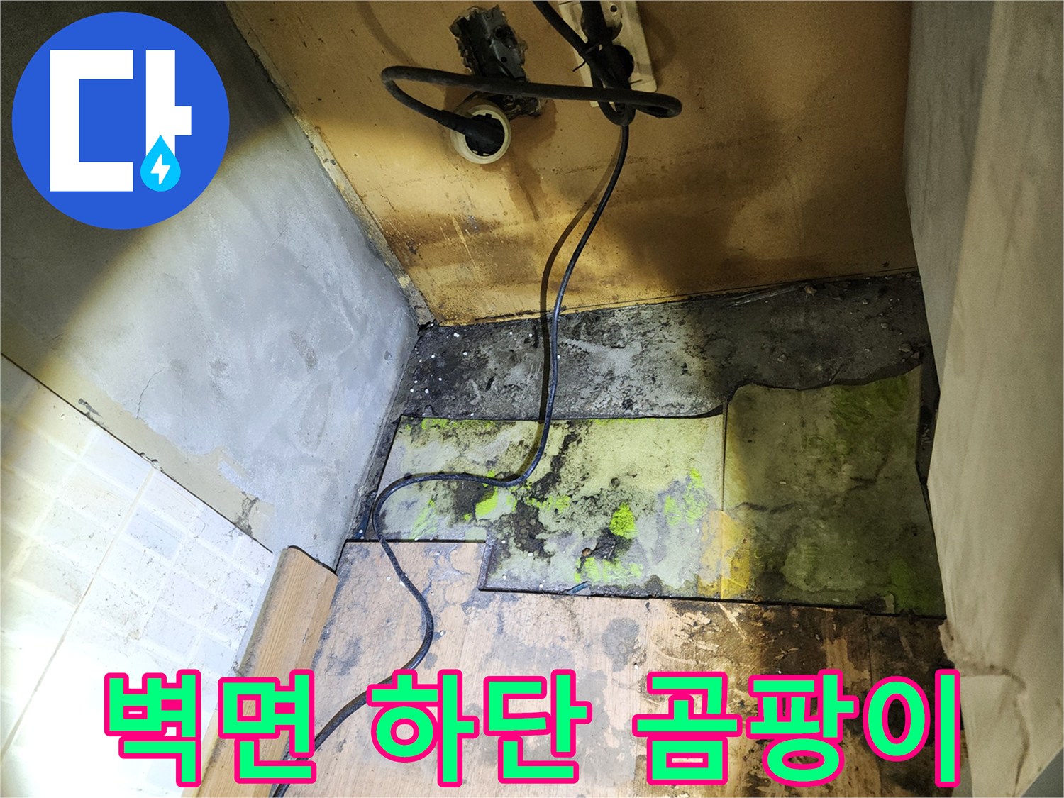 누수 현장 사진-심하게 변색된 벽면과 곰팡이 발생 부위