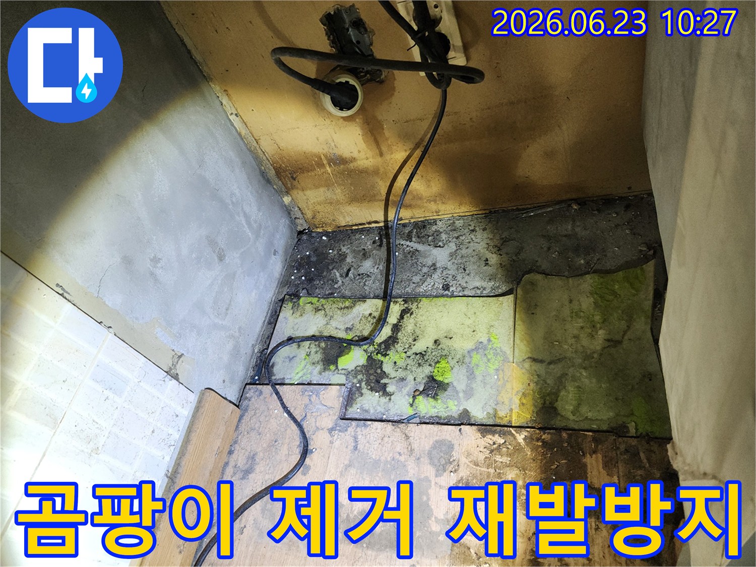 누수로-인해-바닥 하부에-발생한-곰팡이를-제거하고-재발을-방지하기 위한-작업-현장을-보여주는-사진