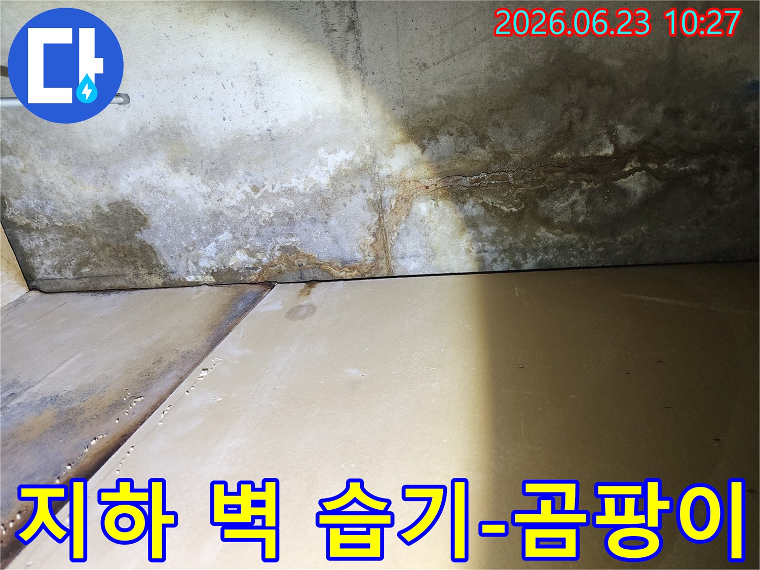 단독주택 지하-벽면에-발생한-심각한-습기와-곰팡이-현상을-보여주는-사진입니다