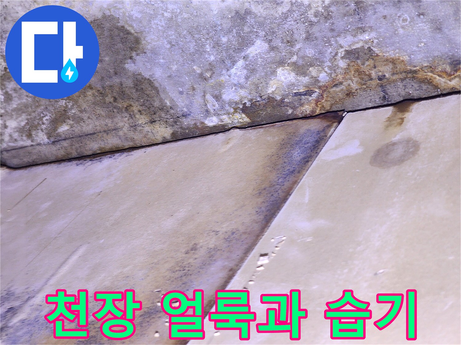 송파구 주택-천장 벽면의 누수 흔적과 얼룩 상태