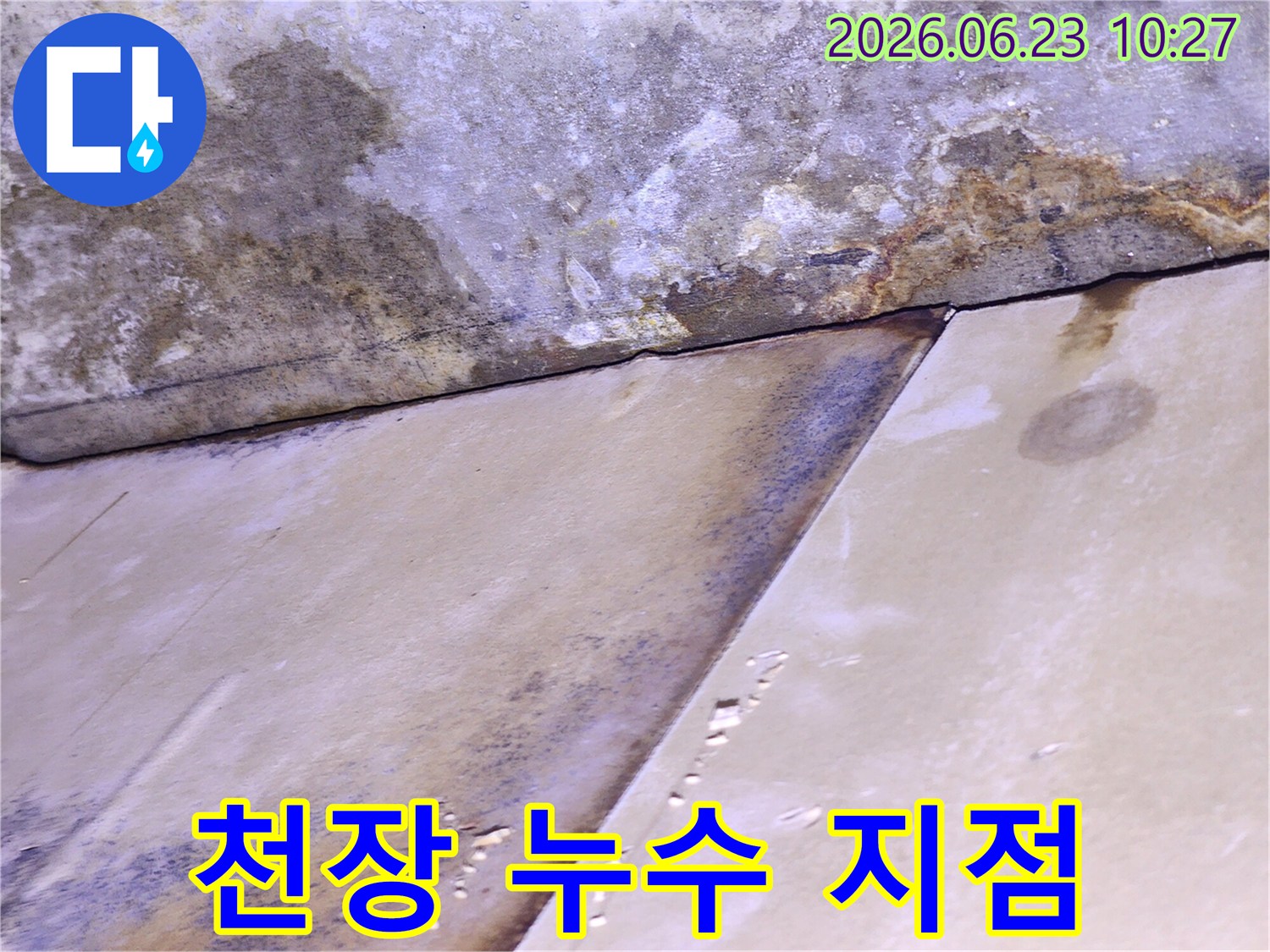 천장 패널 이음새 부분에서 물이 새어 얼룩과 곰팡이가 생긴-심각한 누수 상황
