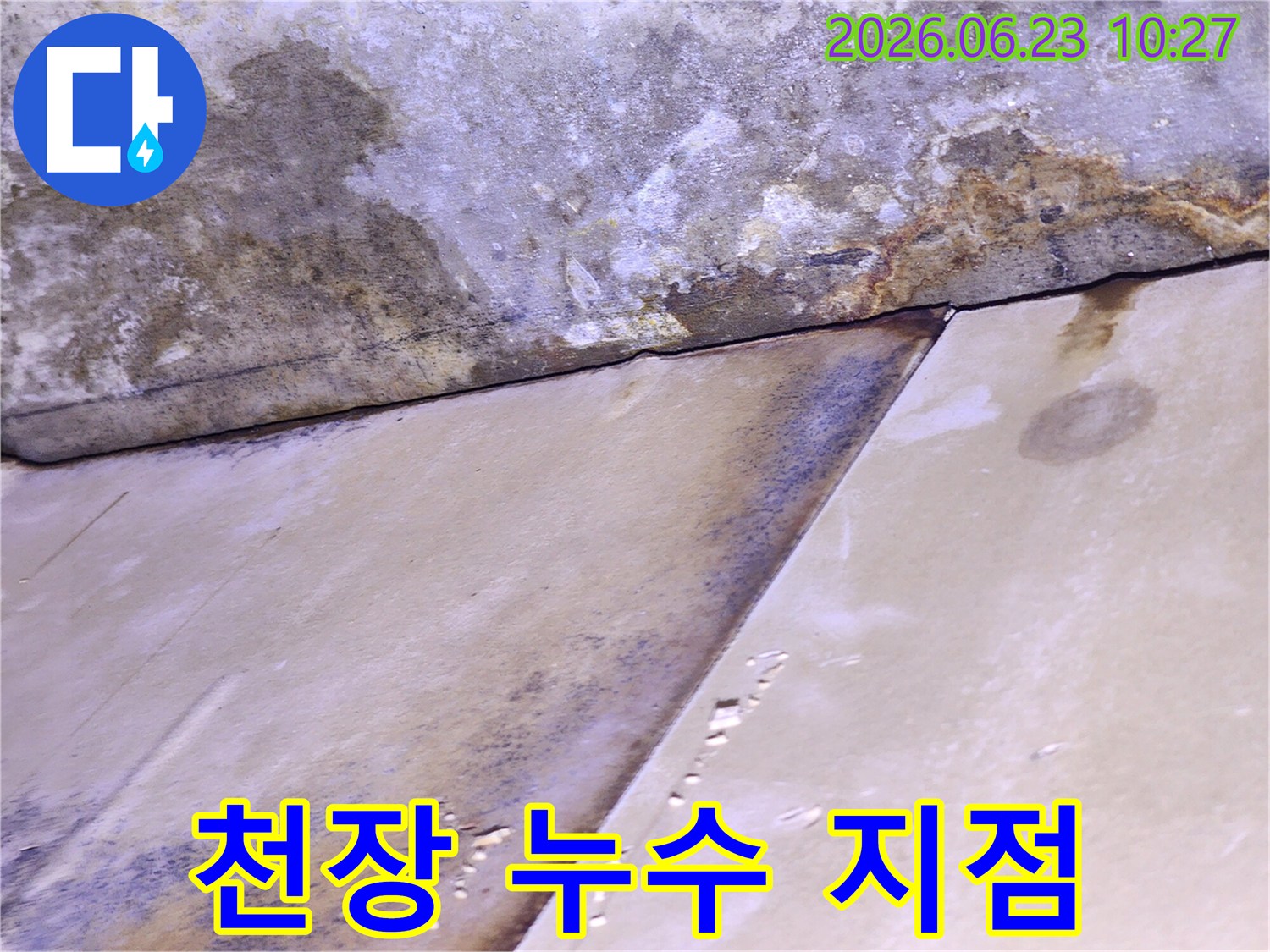 천장 패널 이음새 부분에서 물이 새어 얼룩과 곰팡이가 생긴-심각한 누수 상황