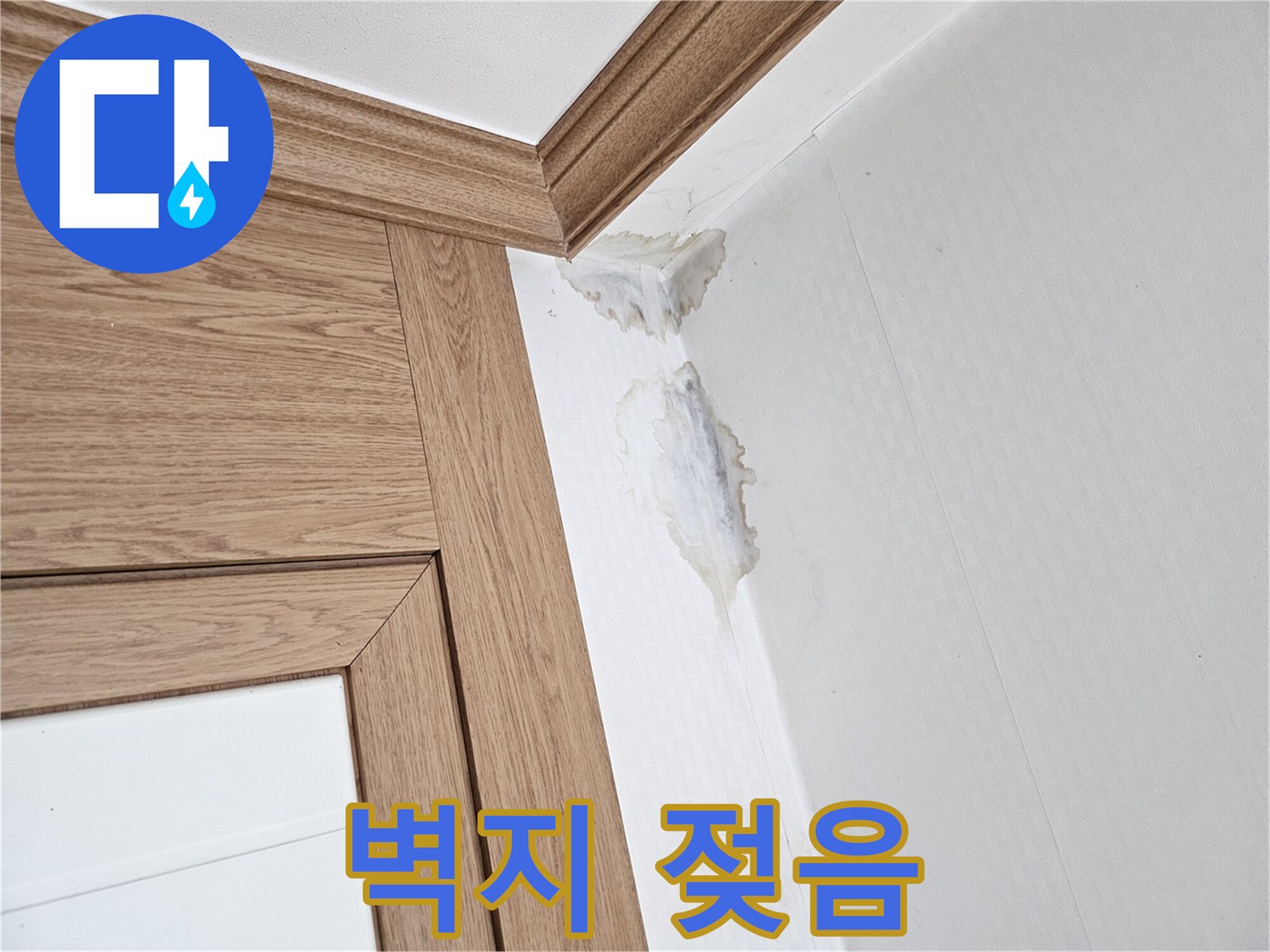 이 이미지는-벽과 천장 모서리에-누수로 인한-젖은 자국과-곰팡이가 생긴-모습을 보여줍니다.