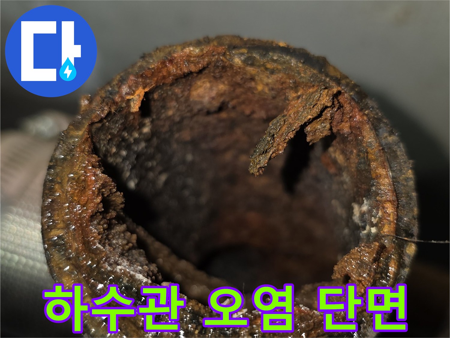 오염된 하수 배관의 내부 층상 구조와 이물질 상태