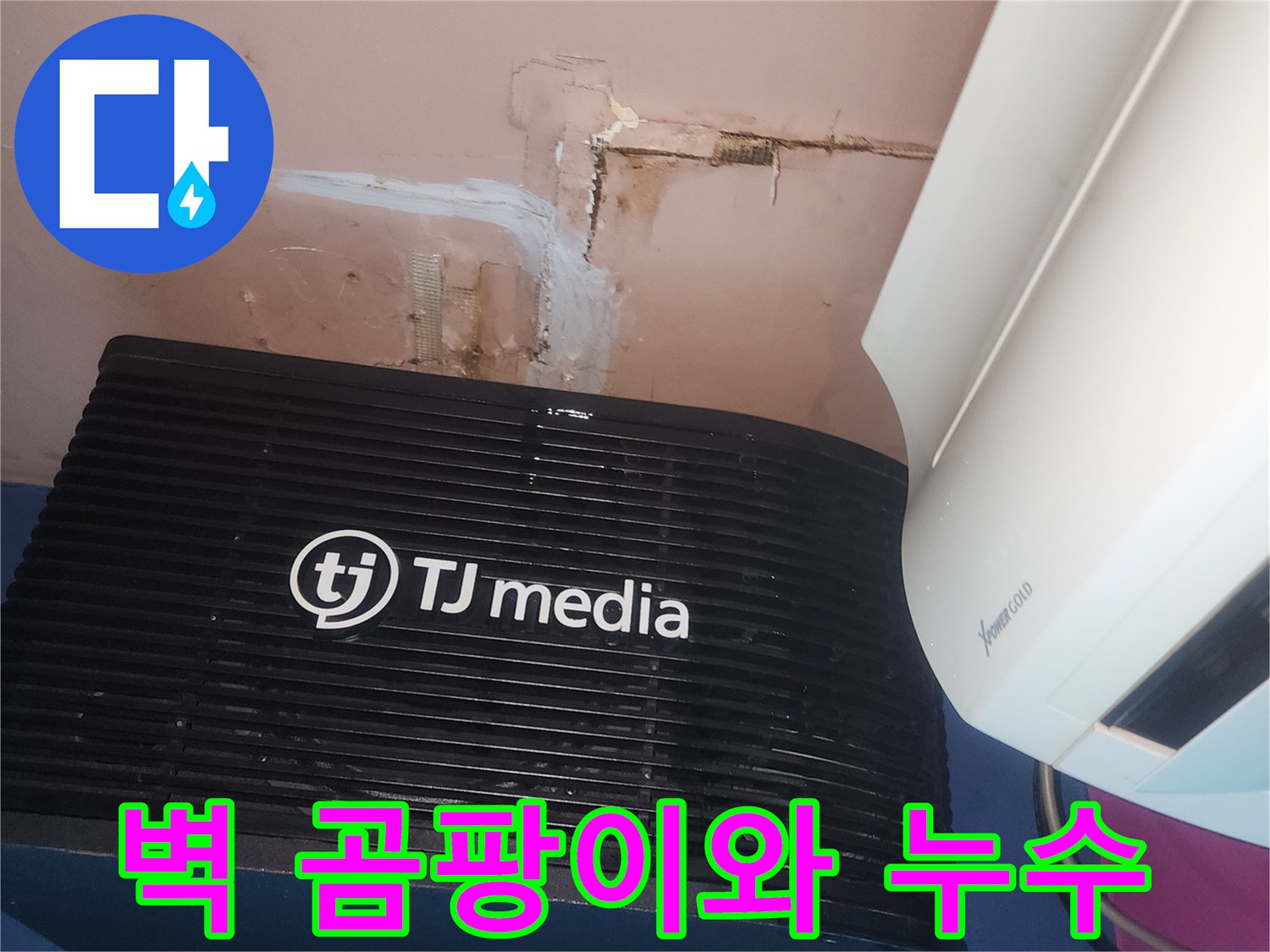 벽 모서리에-짙게 피어난-곰팡이와-함께-누수로 인한-벽면 손상이-명확하게 드러난-모습입니다