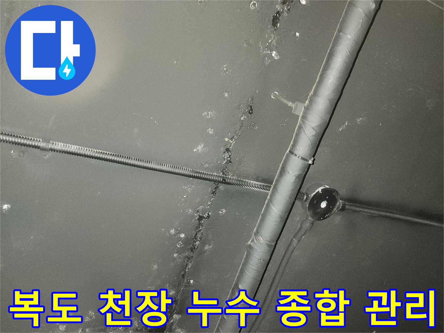 복도 천장에 나타난-누수 현상은-종합적인 진단과 관리가 필요한 상황입니다