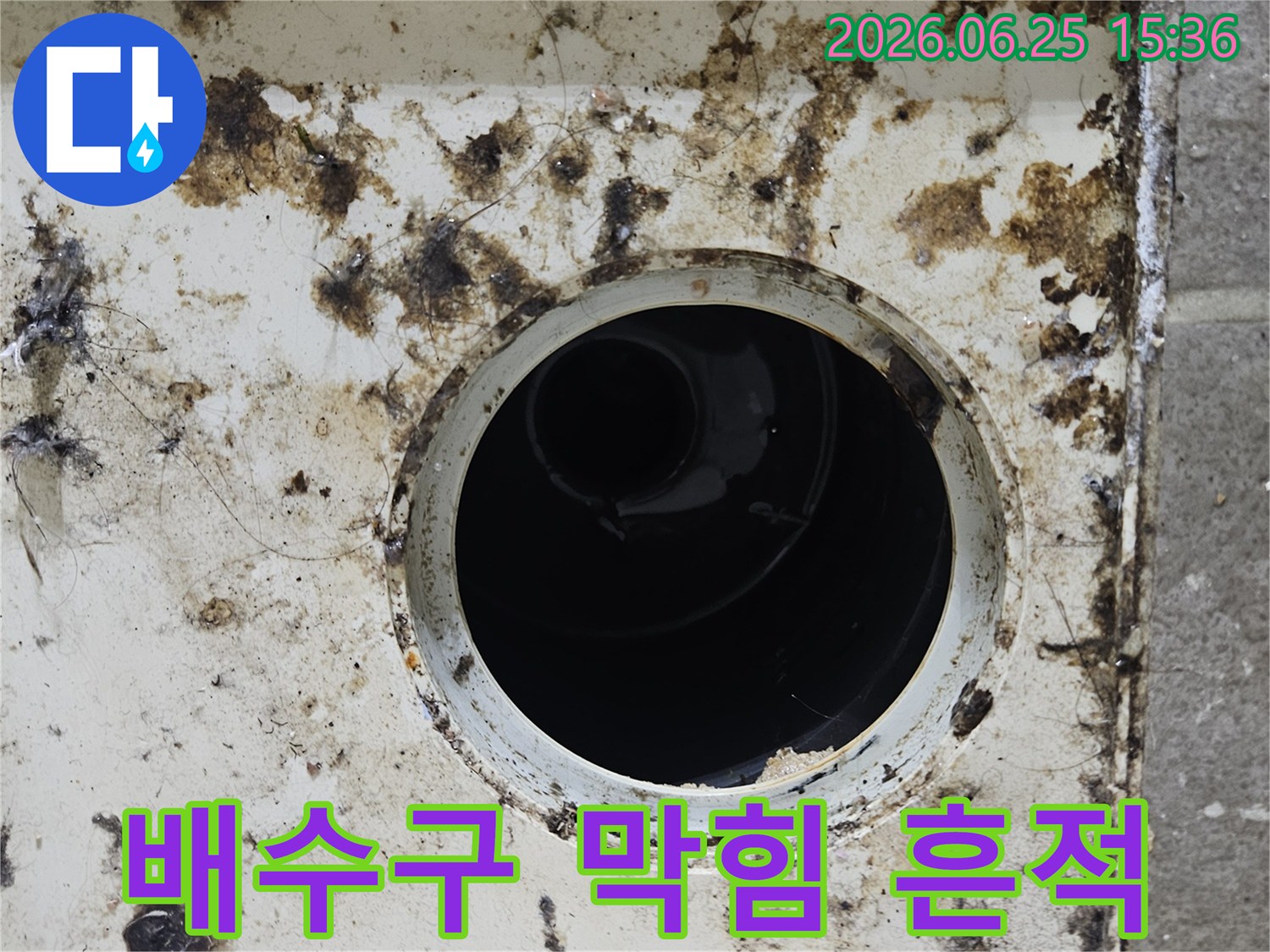 배수구 주변에 끈적한 슬러지와 곰팡이가 가득한 상태-오랜 기간 배수 문제가 있었음을 나타냅니다