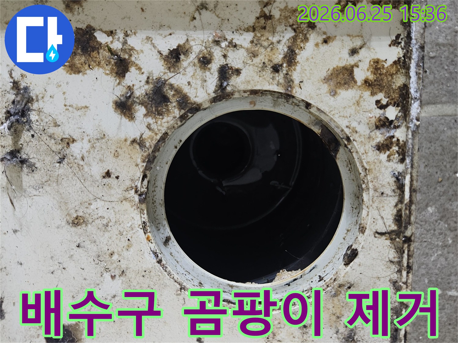 오염된 배수구 주변에 검은 곰팡이와 찌든 때가 심하게 낀 모습-누수 공사 전 꼼꼼한 점검이 필요합니다