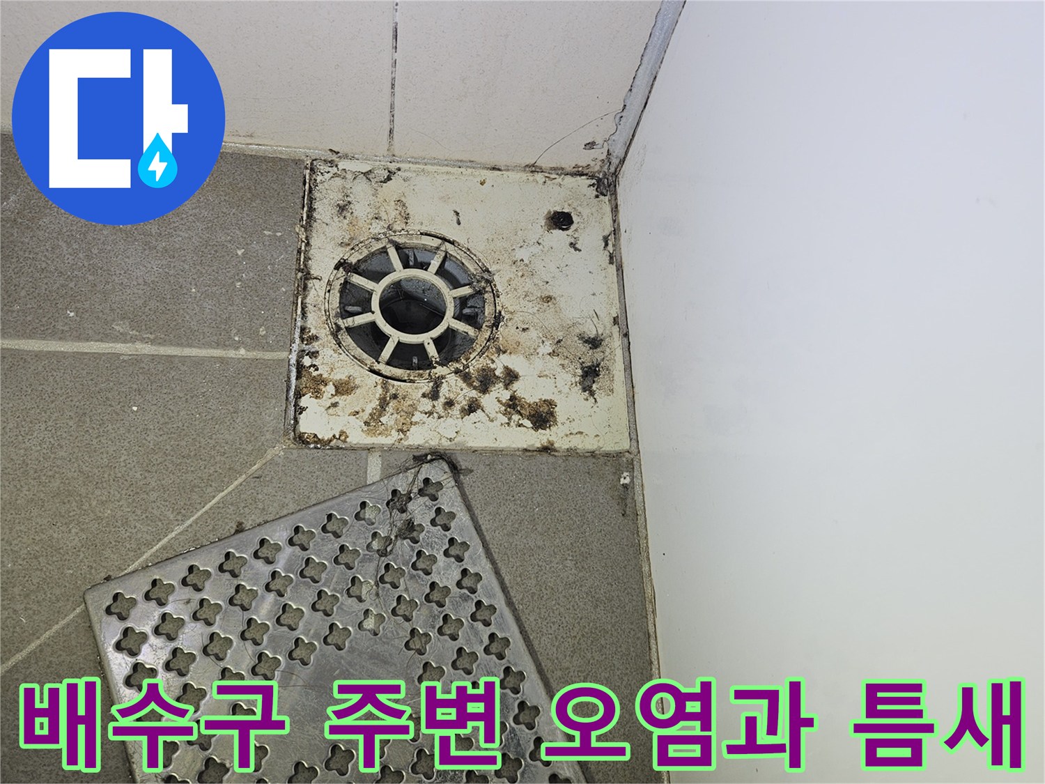 화장실-배수구-유가-주변의-심한-오염과-타일-틈새-상태